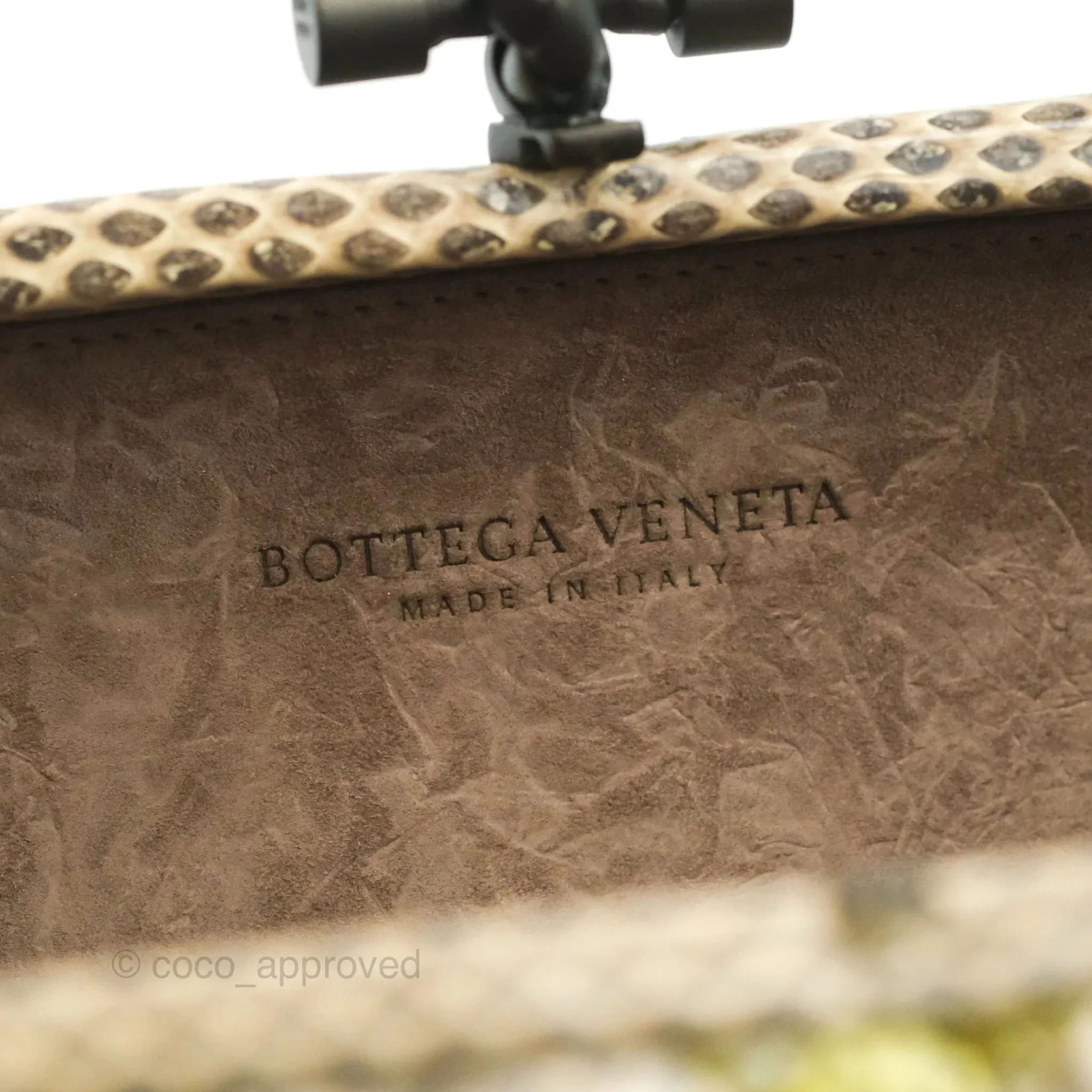 Bottega Veneta Ayers Intreccio Stretch Knot Clutch Python