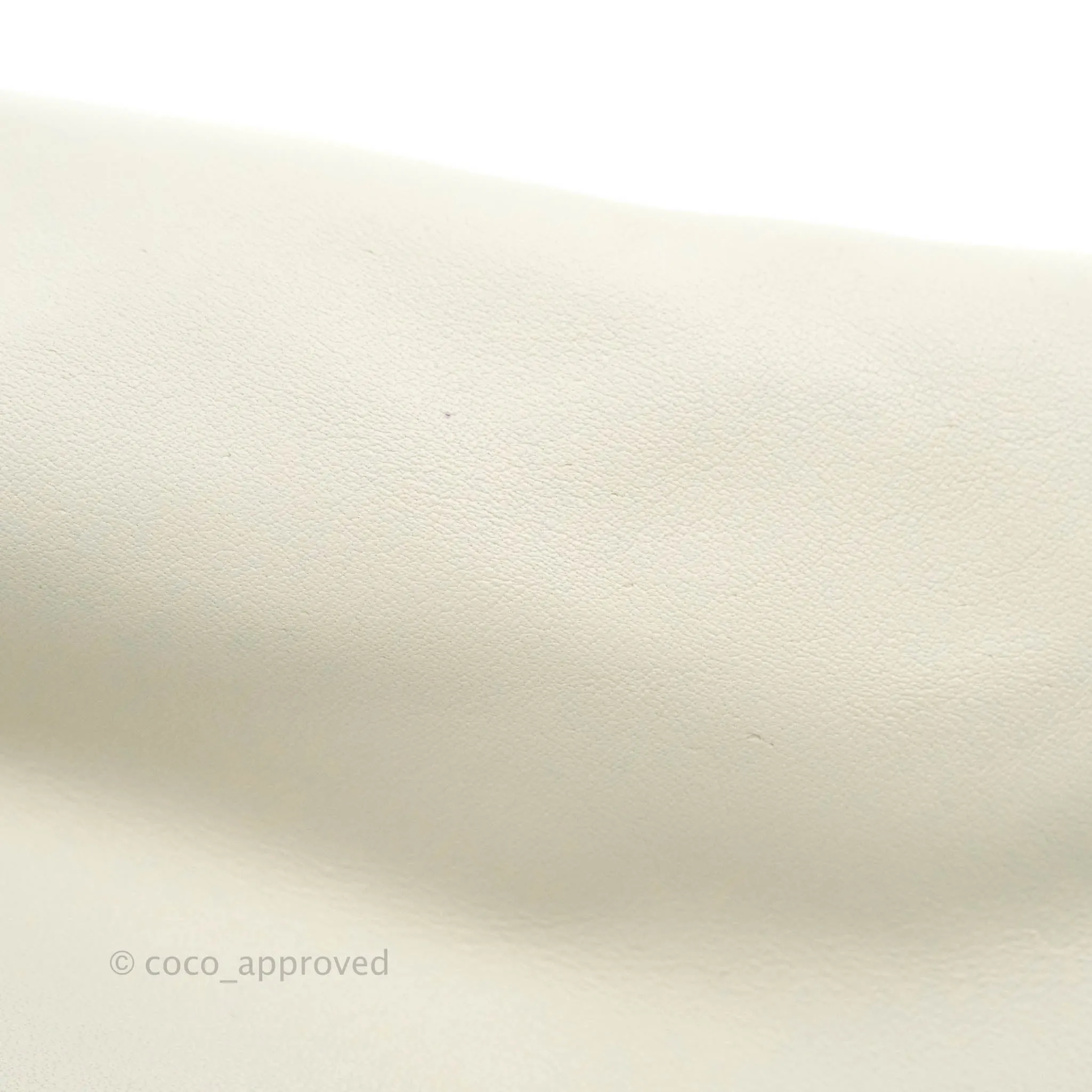 Bottega Veneta Chain Pouch in Plaster Calfskin