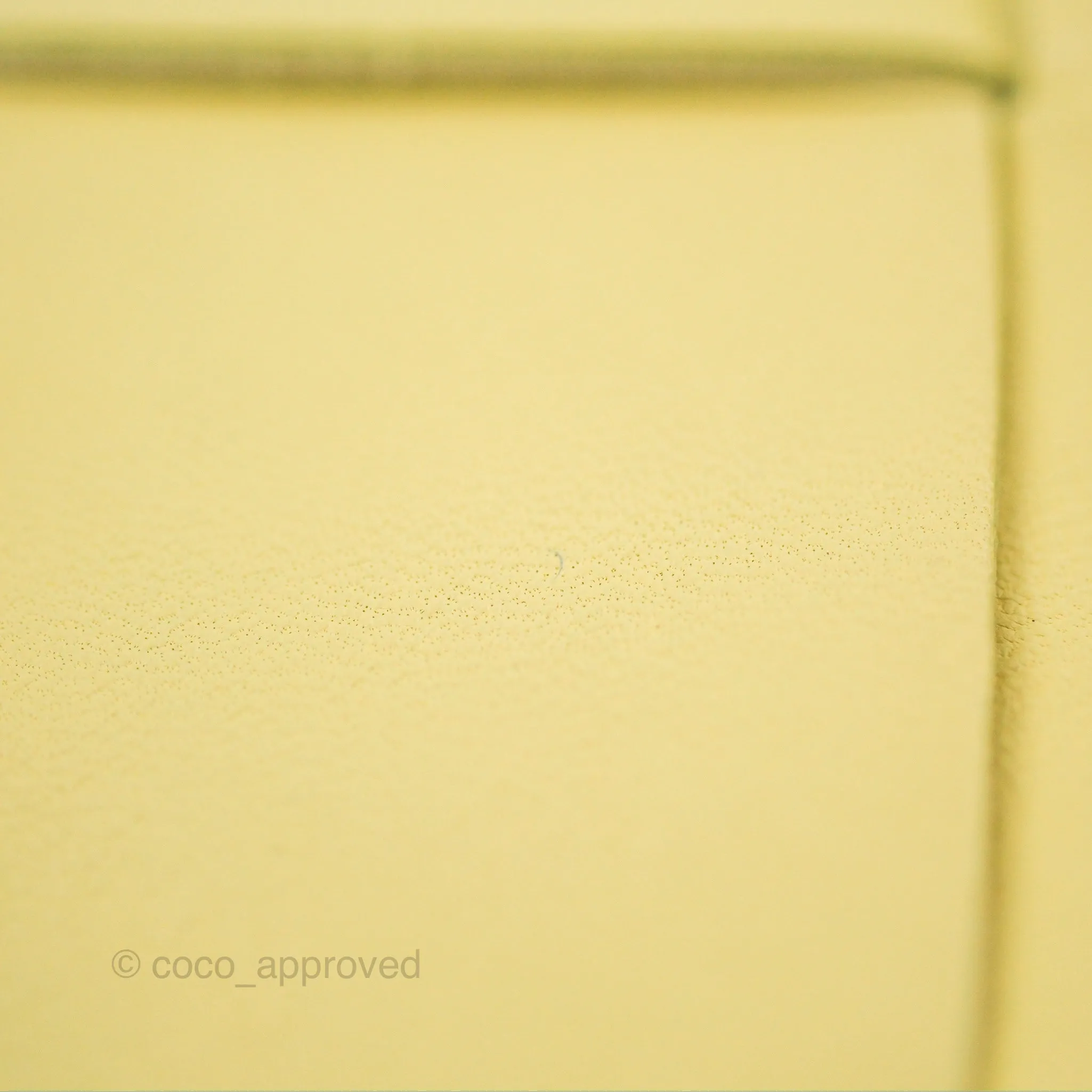 Bottega Veneta Mini Cassette Camera Bag Ice Cream Yellow Intreccio Lambskin