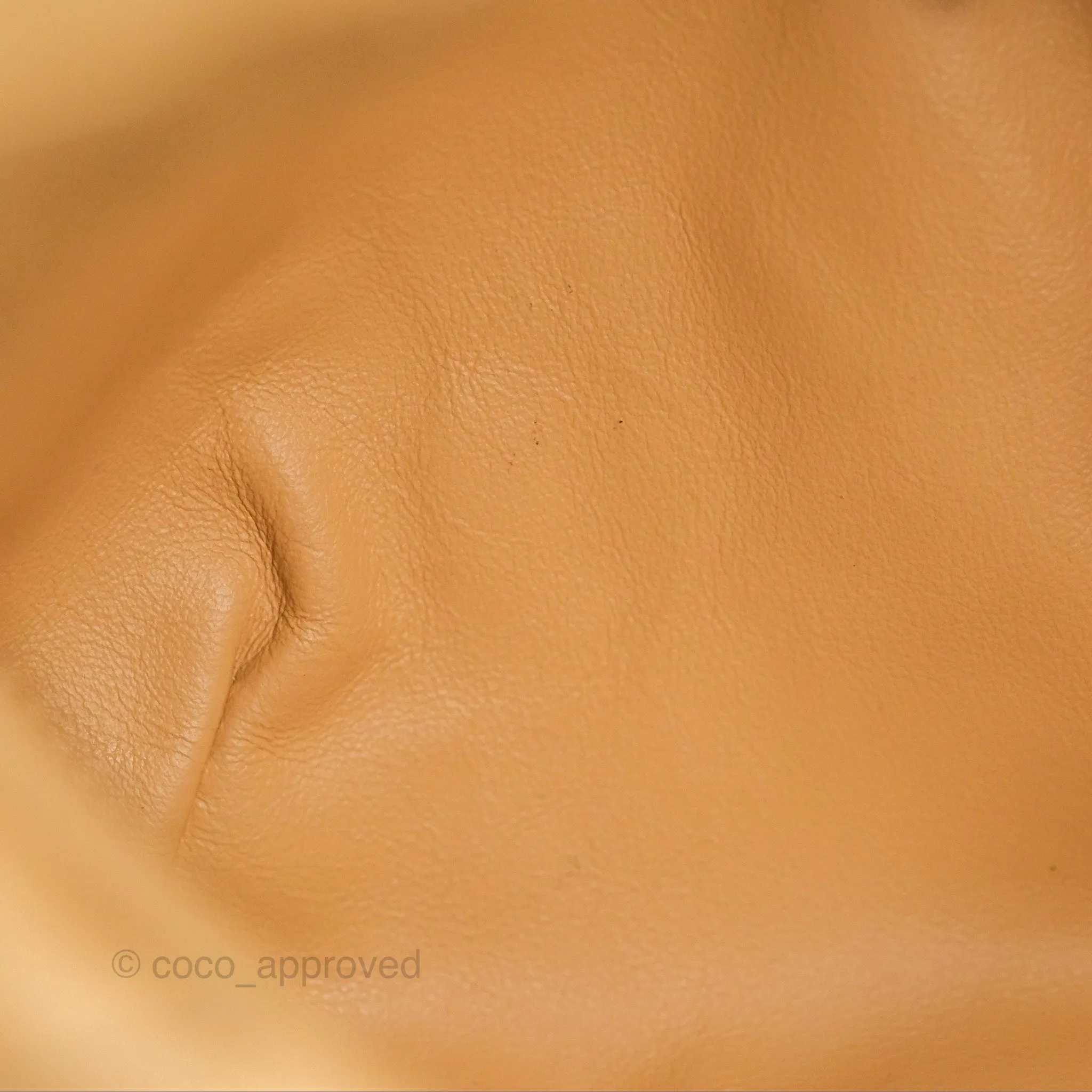 Bottega Veneta Mini Jodie Clutch Bag Intrecciato Almond Lambskin Gold Hardware