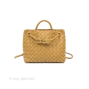 Bottega Veneta Small Andiamo Bag Dark Praline Intrecciato Lambskin