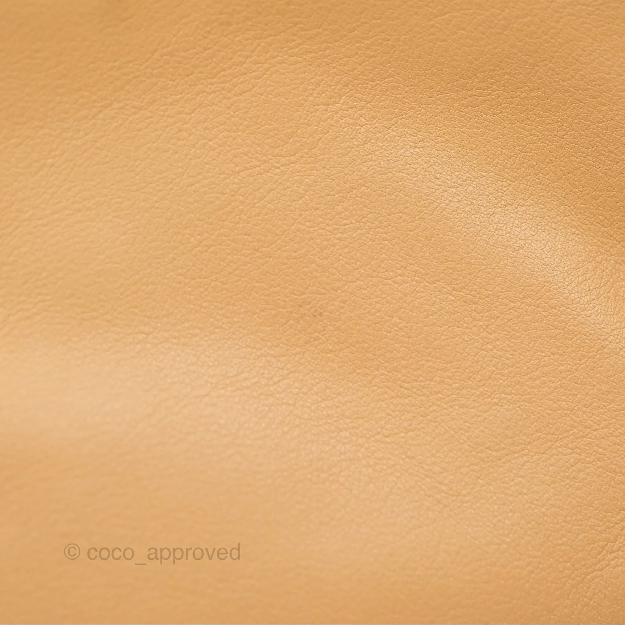 Bottega Veneta Teen Double Knot Hobo Almond Calfskin