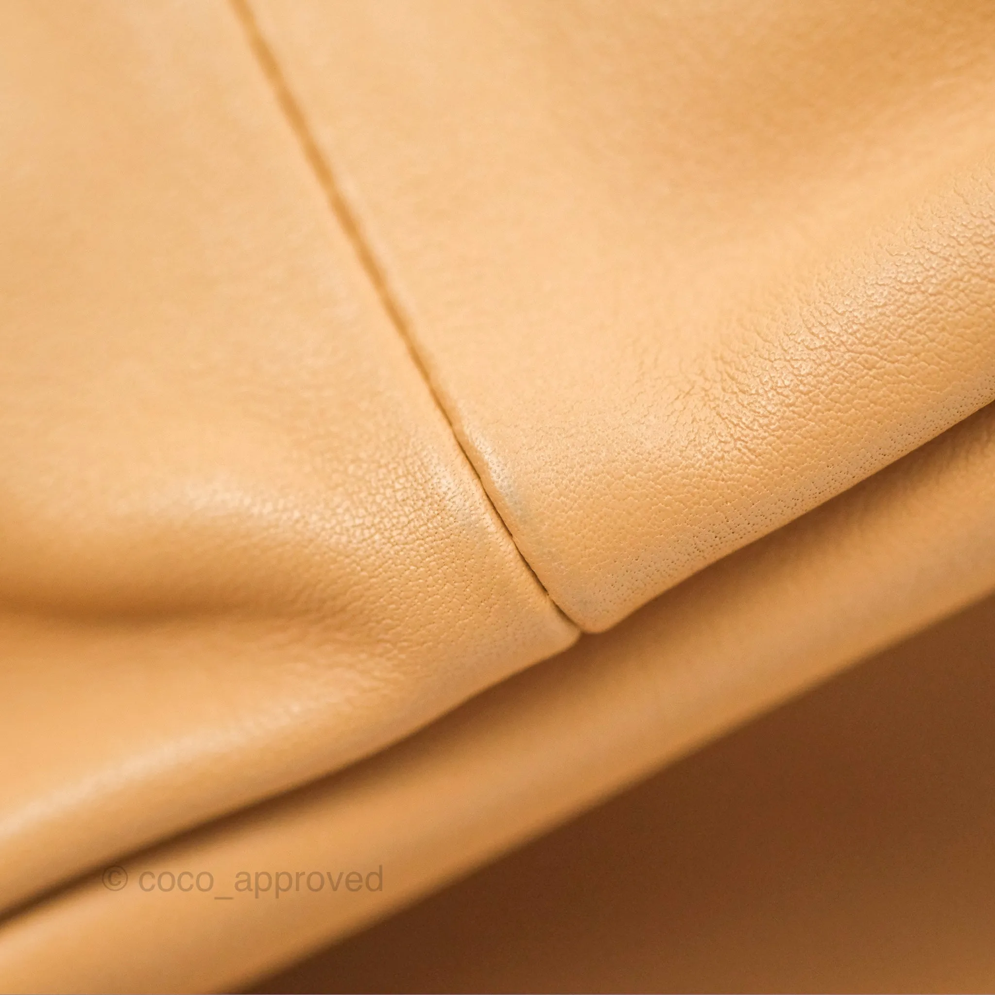 Bottega Veneta Teen Double Knot Hobo Almond Calfskin