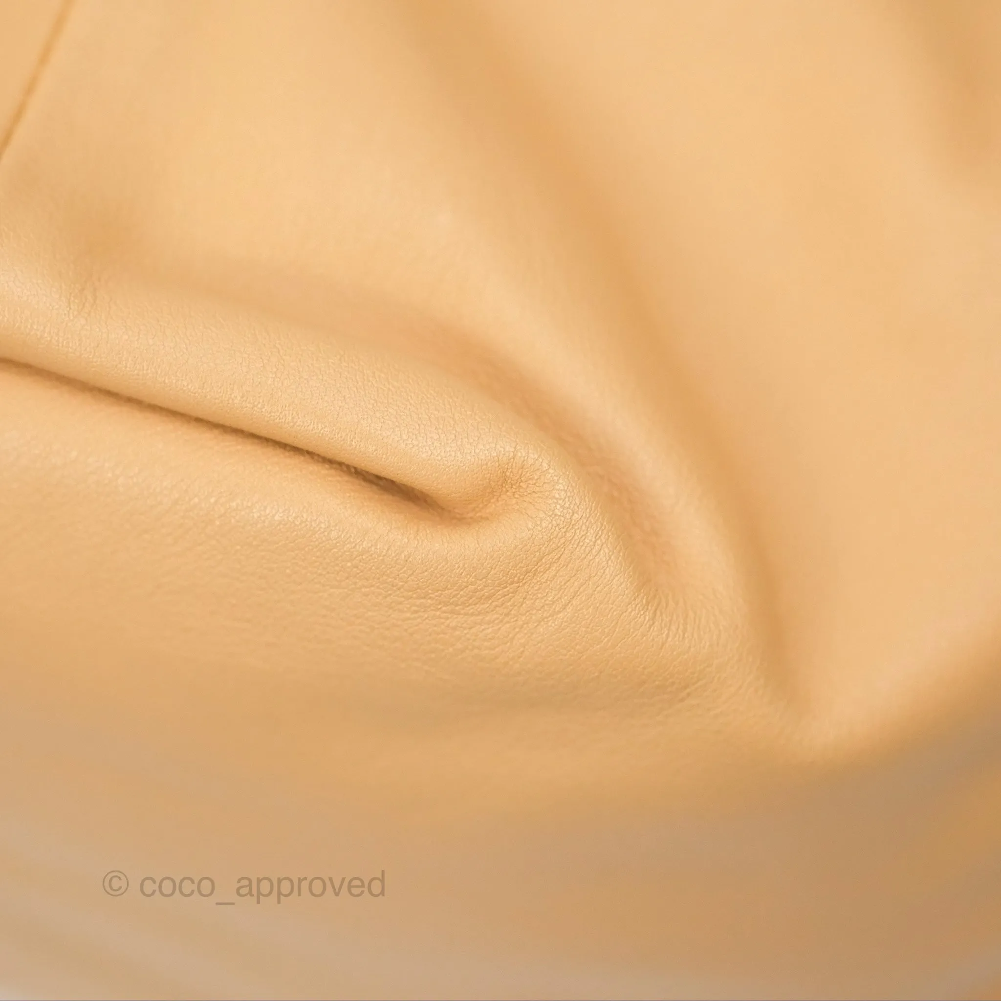Bottega Veneta Teen Double Knot Hobo Almond Calfskin