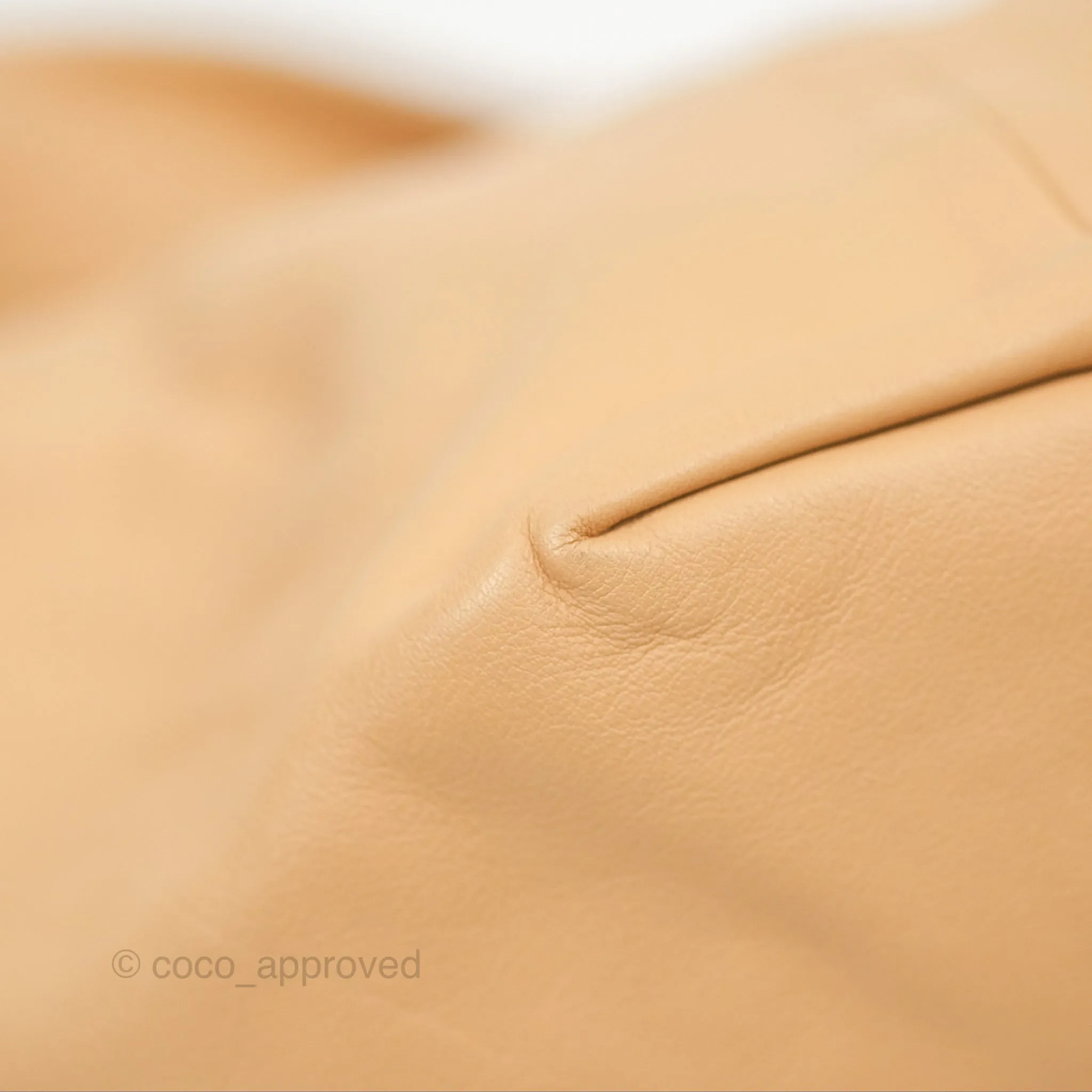 Bottega Veneta Teen Double Knot Hobo Almond Calfskin
