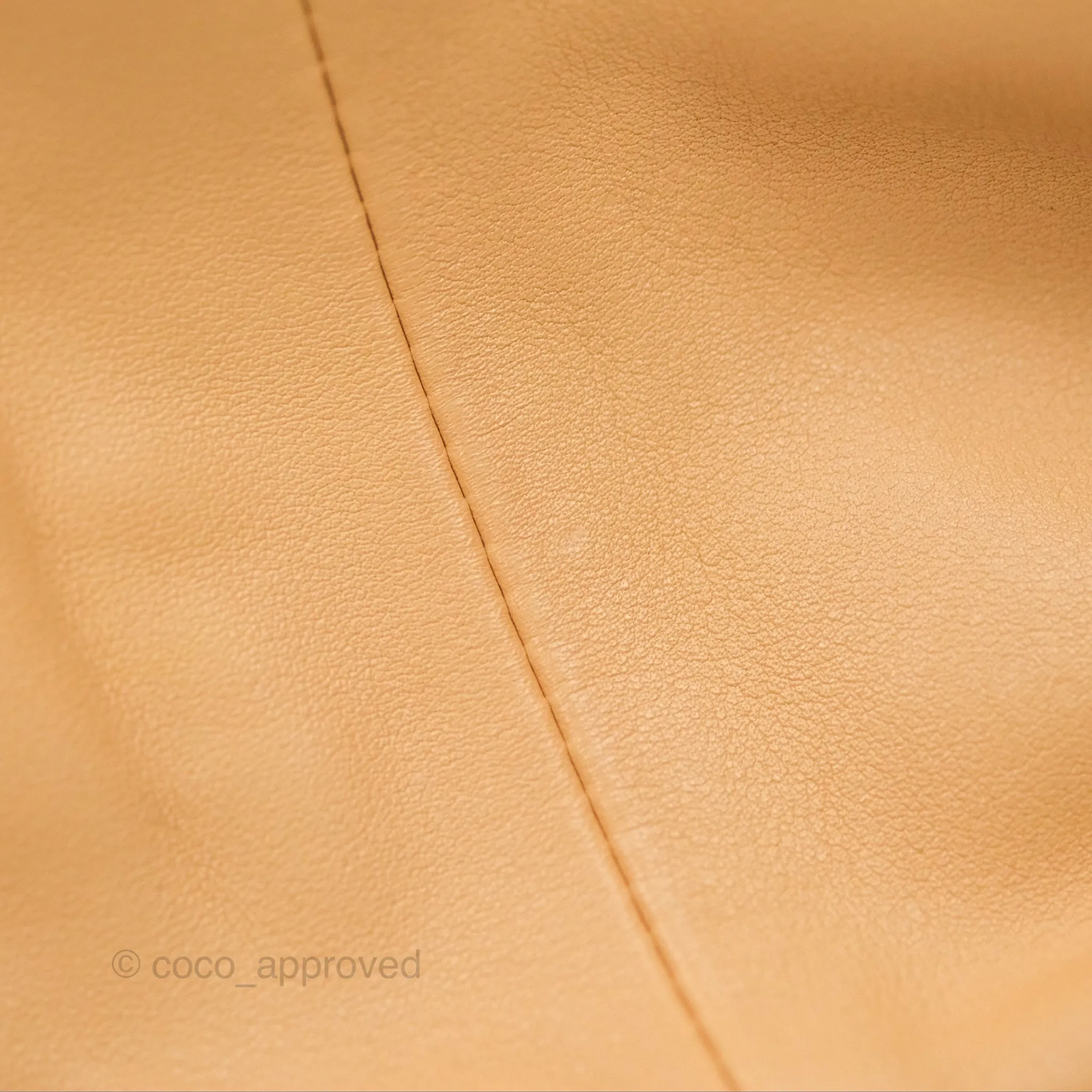 Bottega Veneta Teen Double Knot Hobo Almond Calfskin