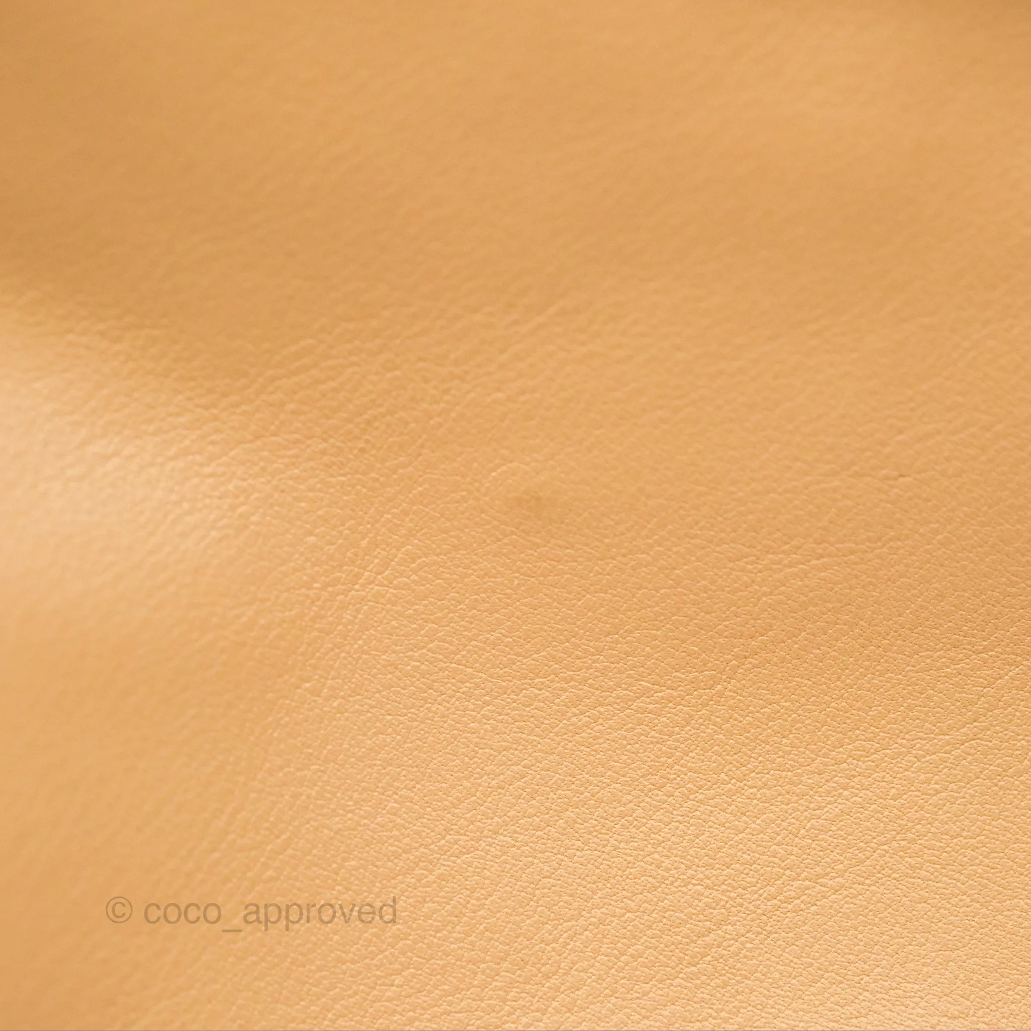 Bottega Veneta Teen Double Knot Hobo Almond Calfskin