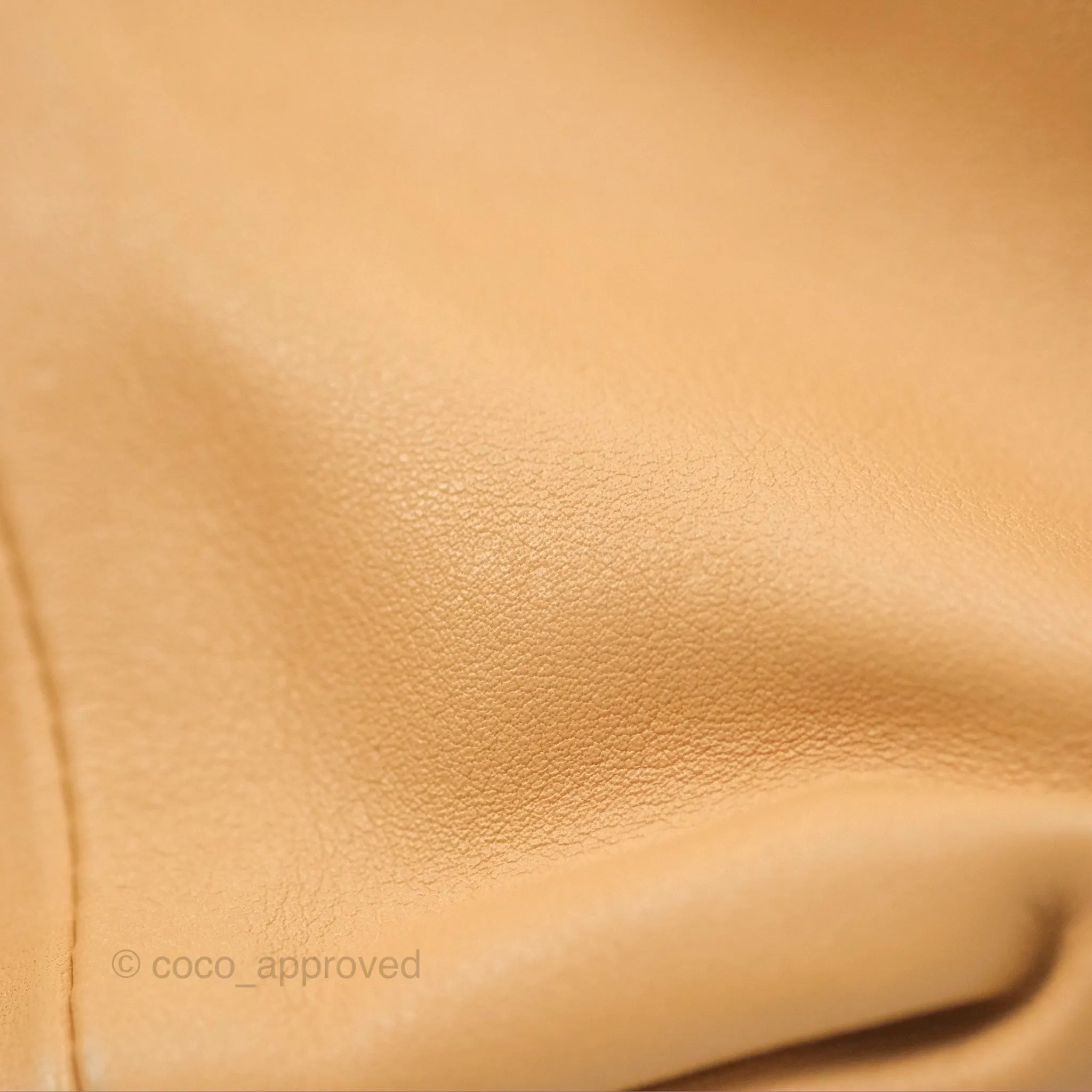 Bottega Veneta Teen Double Knot Hobo Almond Calfskin