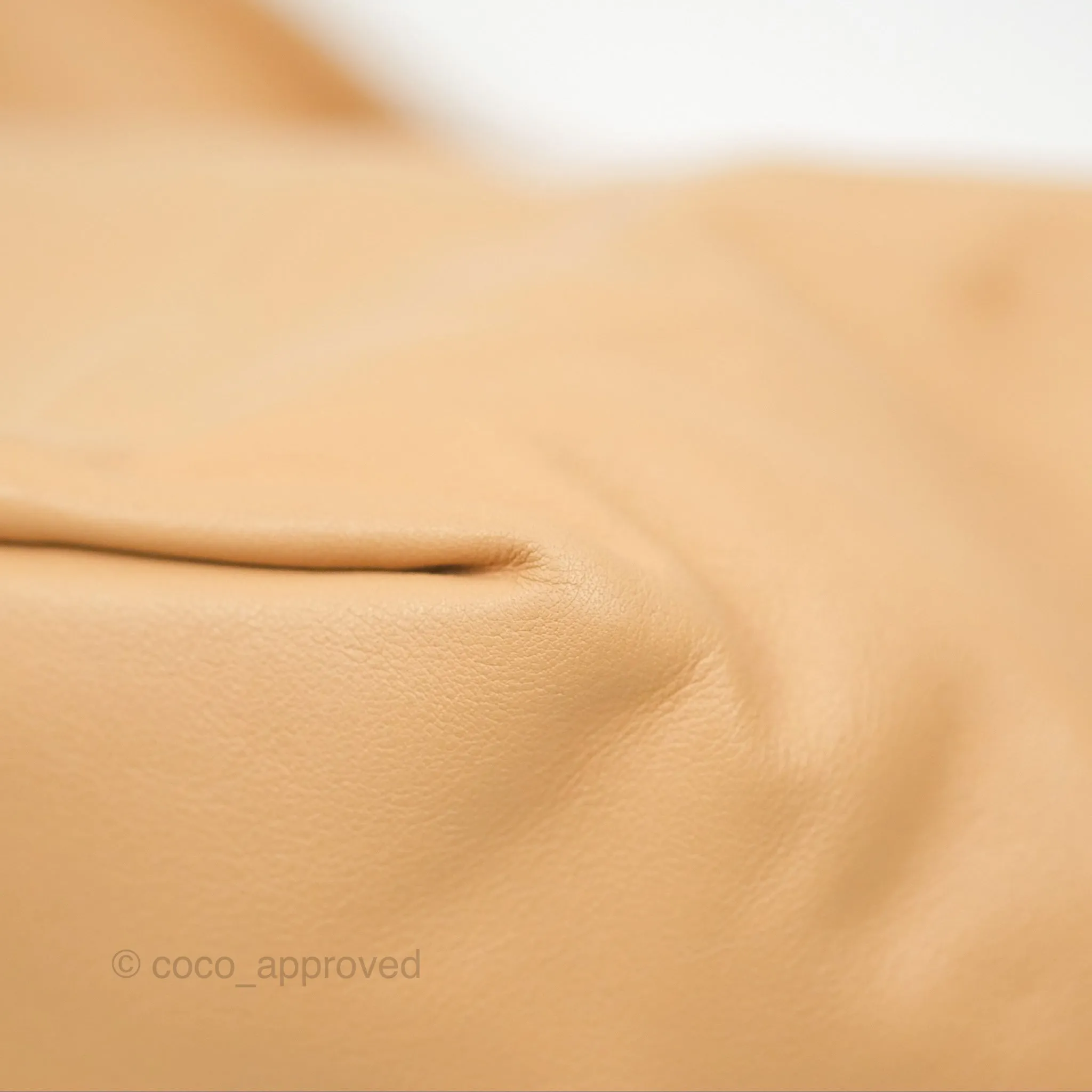 Bottega Veneta Teen Double Knot Hobo Almond Calfskin