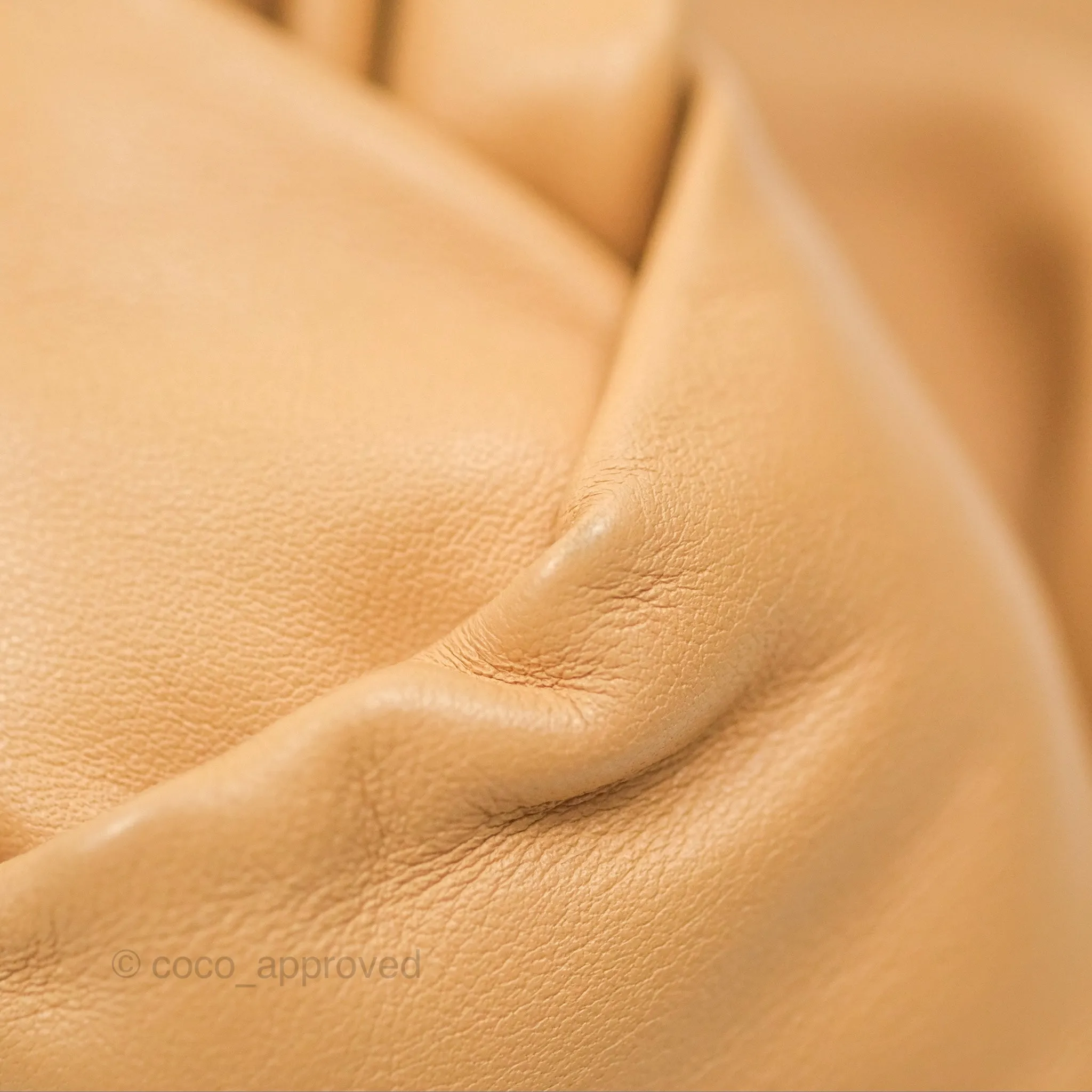 Bottega Veneta Teen Double Knot Hobo Almond Calfskin