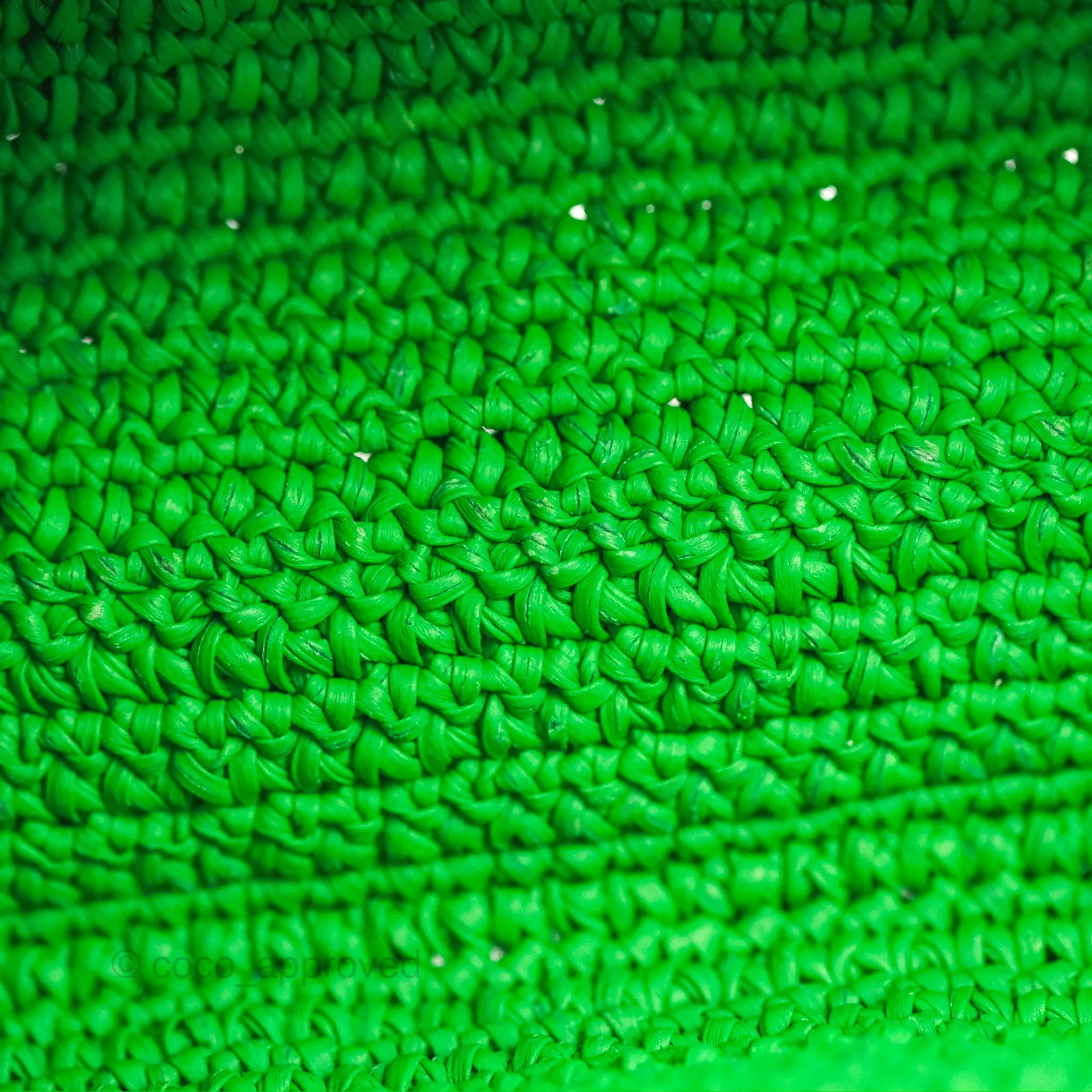 Bottega Veneta The Mini Pouch Green Leather Raffia