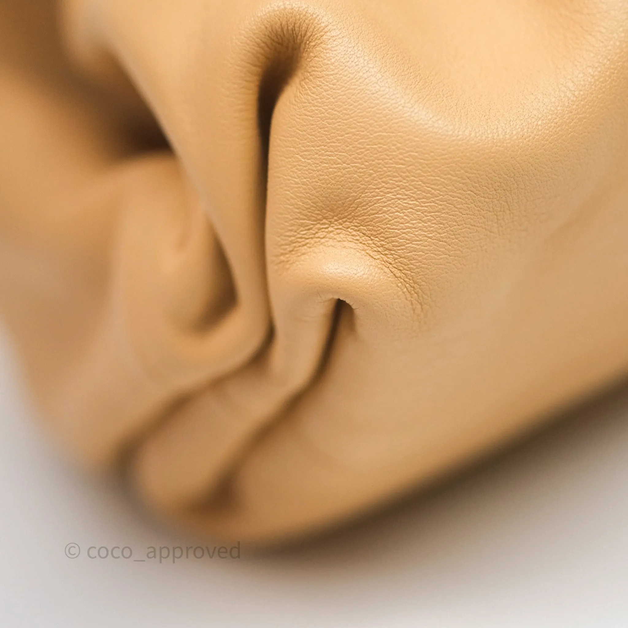 Bottega Veneta The Pouch Beige Calfskin