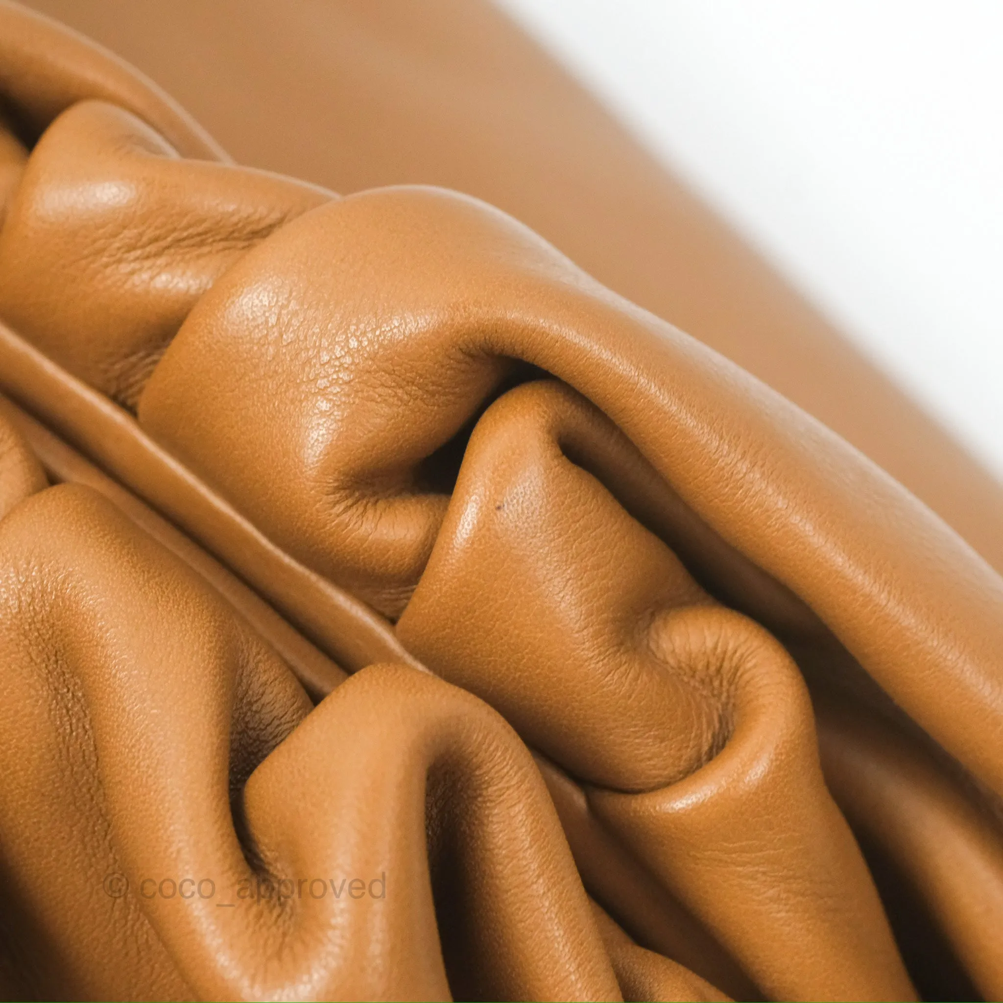 Bottega Veneta The Pouch Camel Butter Calfskin
