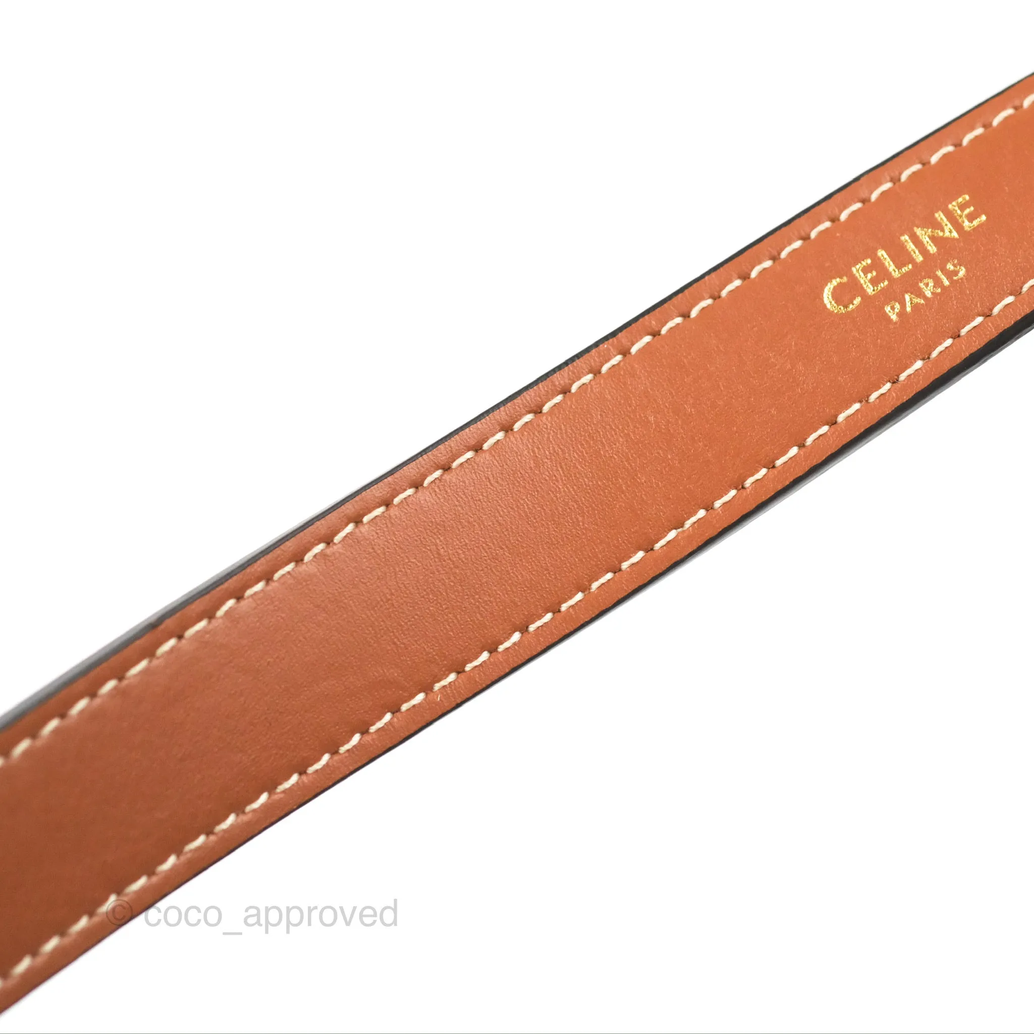 Celine Ava Bag In Triomphe Canvas Calfskin Tan