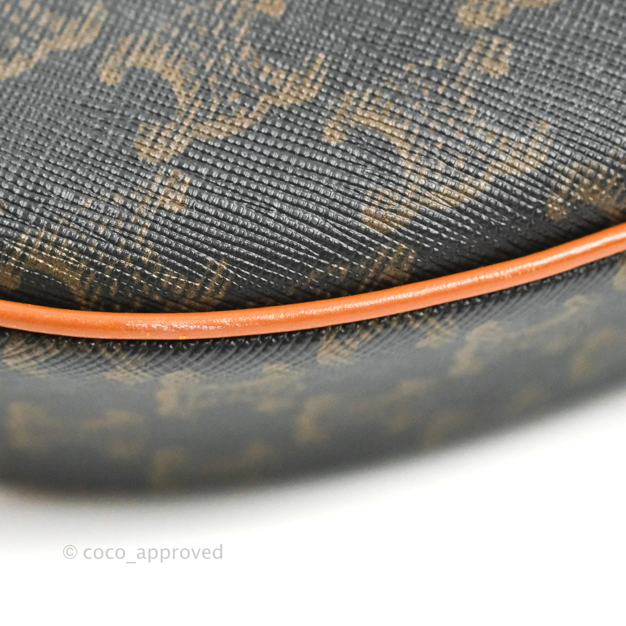 Celine Ava Bag In Triomphe Canvas Calfskin Tan