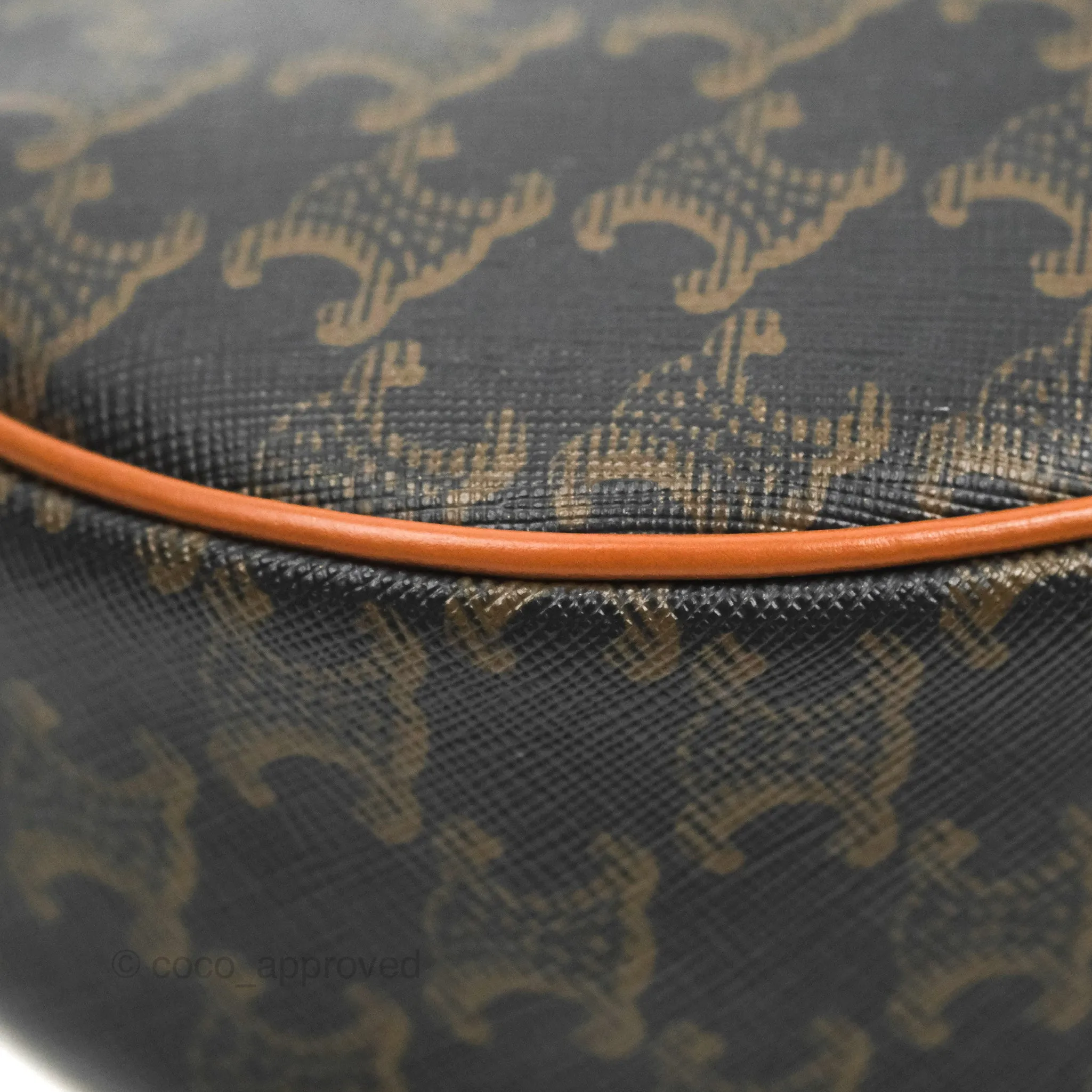 Celine Ava Bag In Triomphe Canvas Calfskin Tan