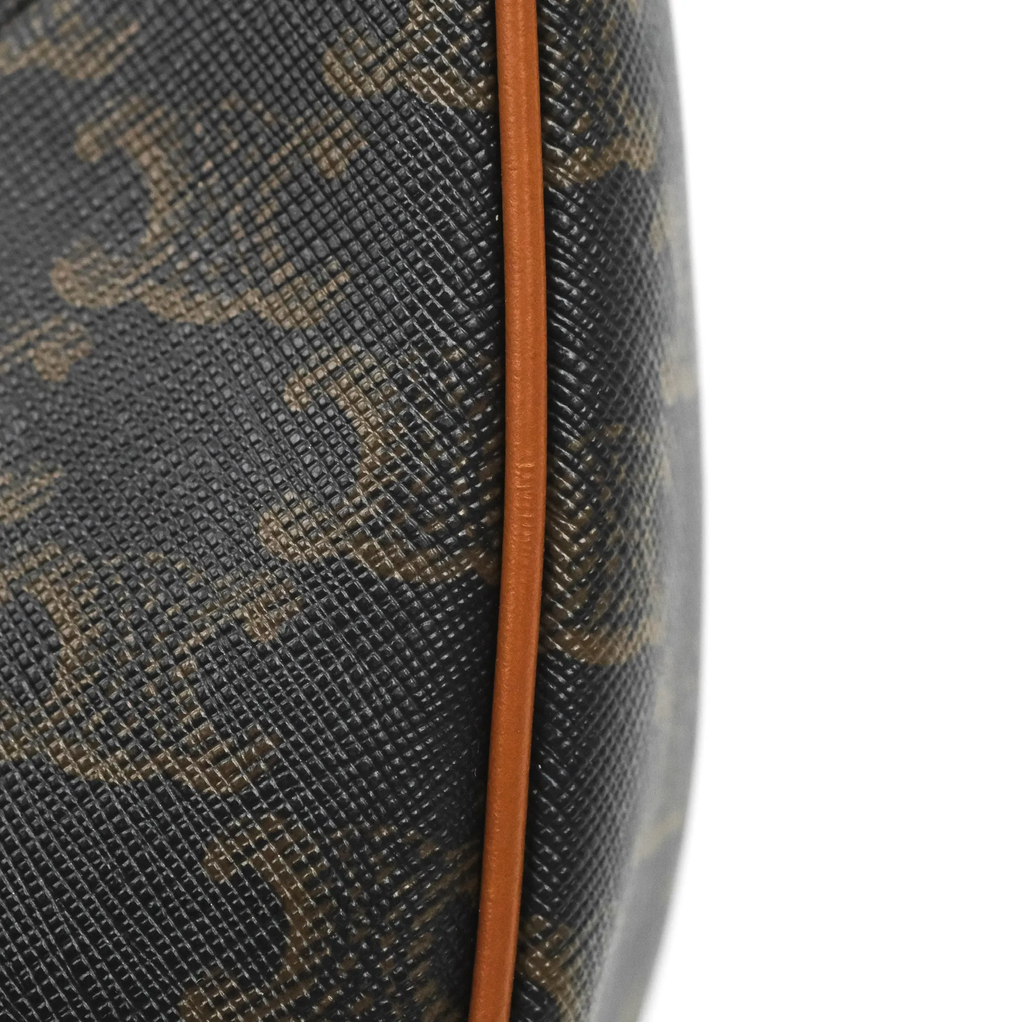 Celine Ava Bag In Triomphe Canvas Calfskin Tan