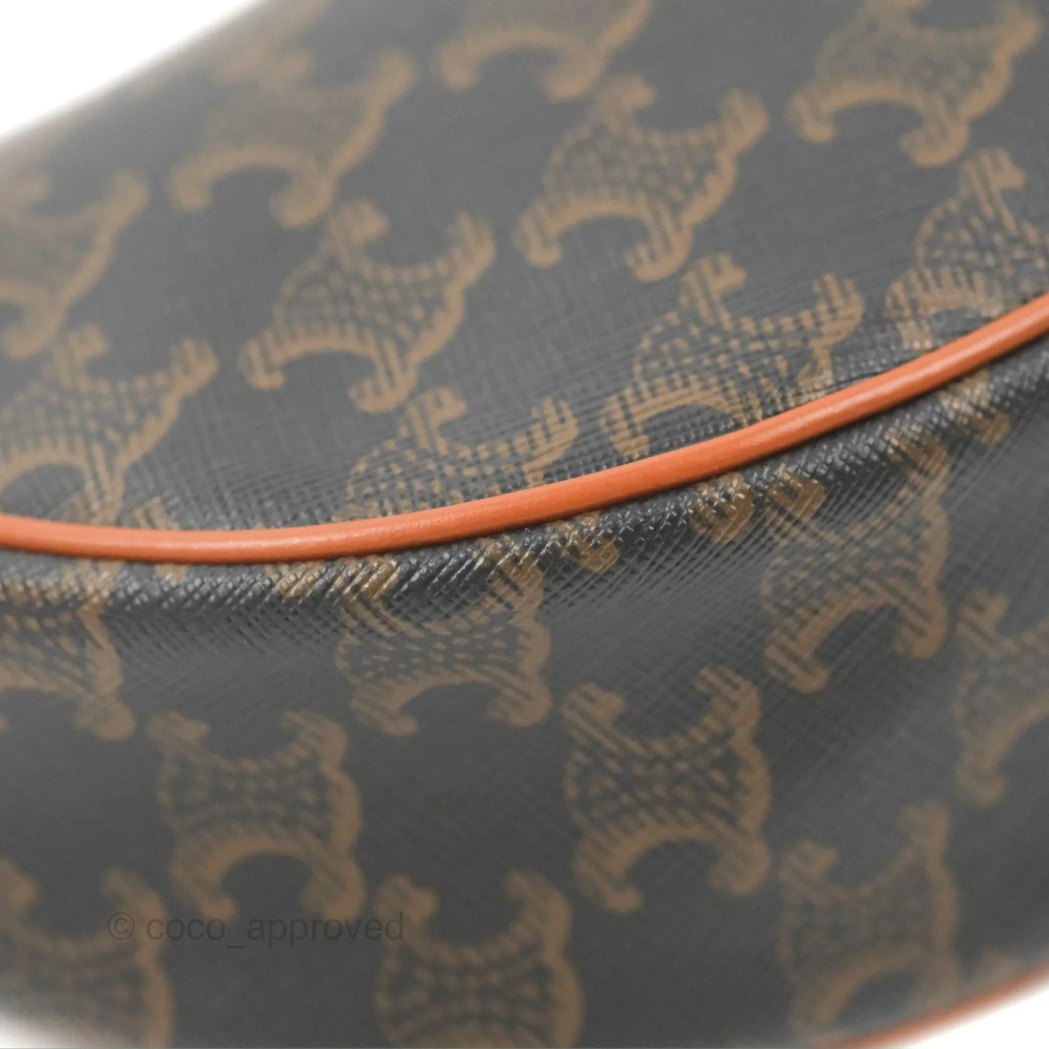 Celine Ava Bag In Triomphe Canvas Calfskin Tan