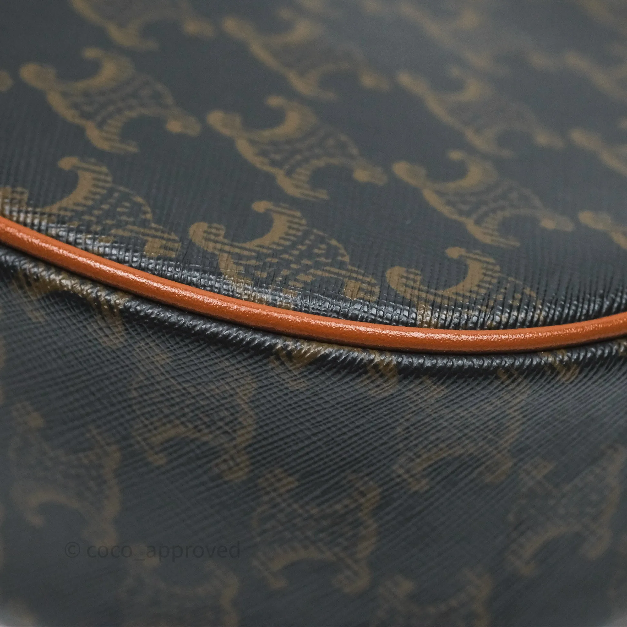 Celine Ava Bag In Triomphe Canvas Calfskin Tan