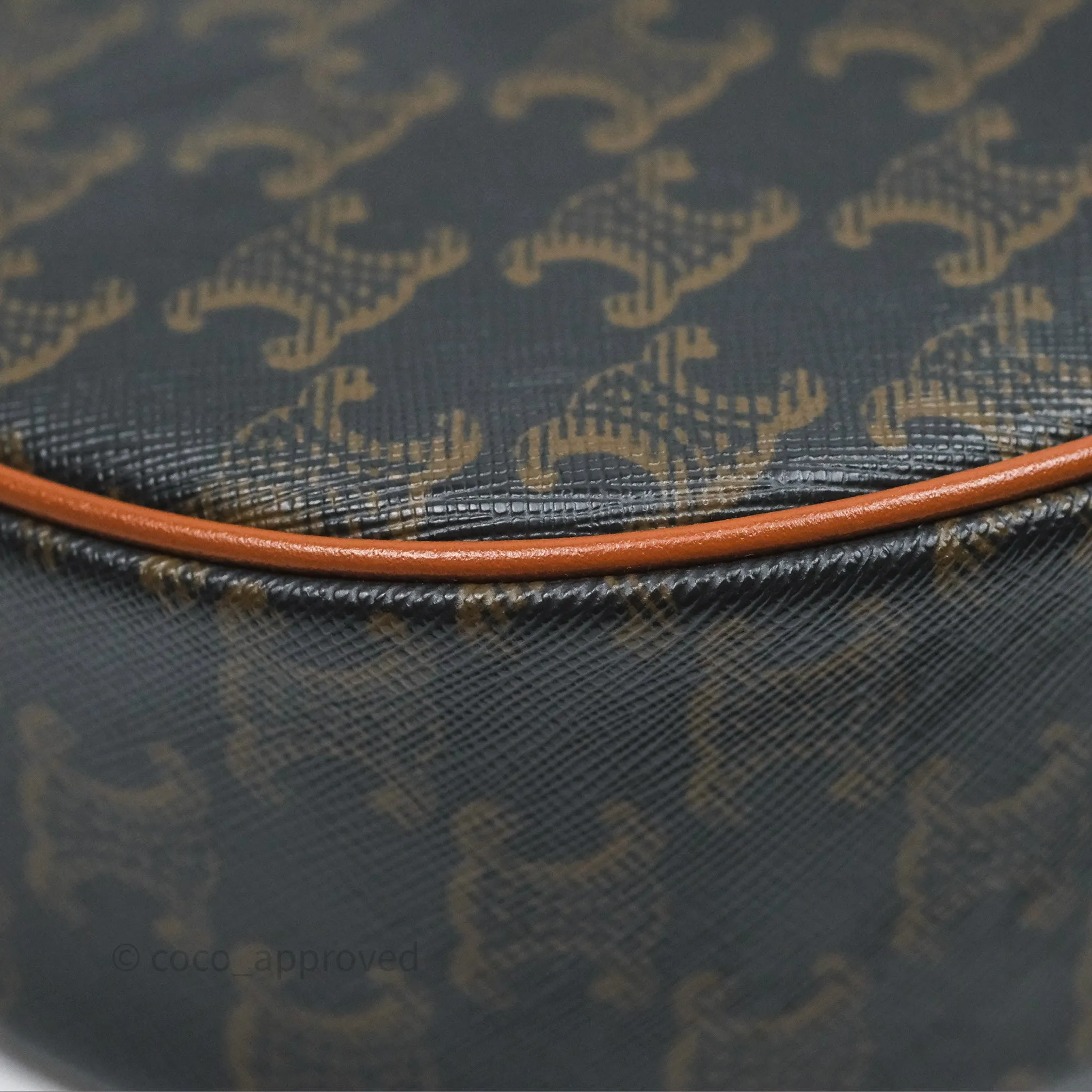 Celine Ava Bag In Triomphe Canvas Calfskin Tan