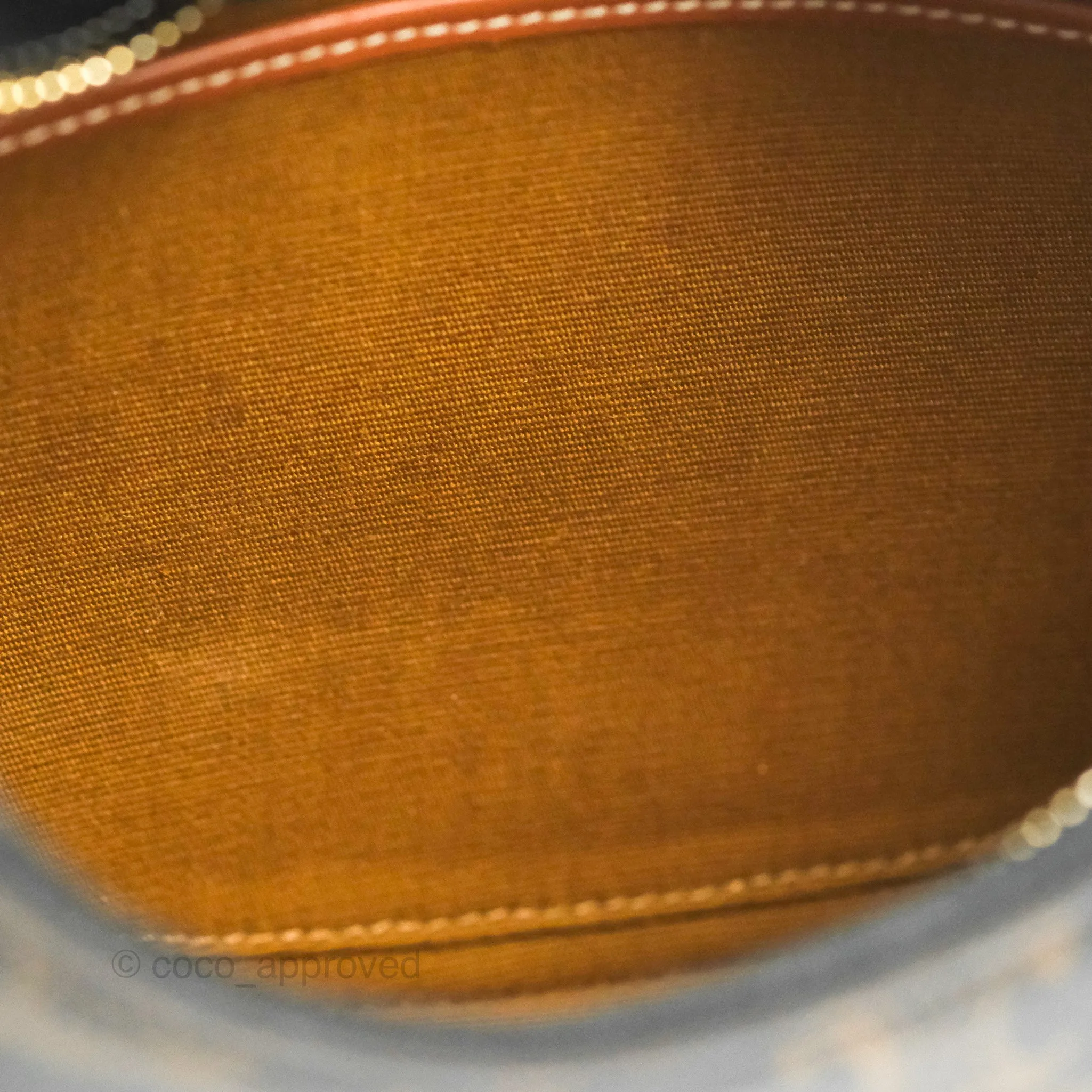 Celine Ava Bag In Triomphe Canvas Calfskin Tan