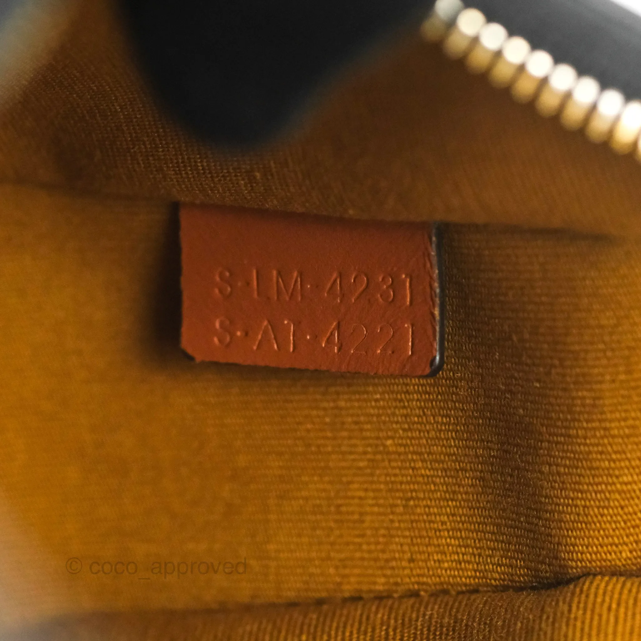 Celine Ava Bag In Triomphe Canvas Calfskin Tan