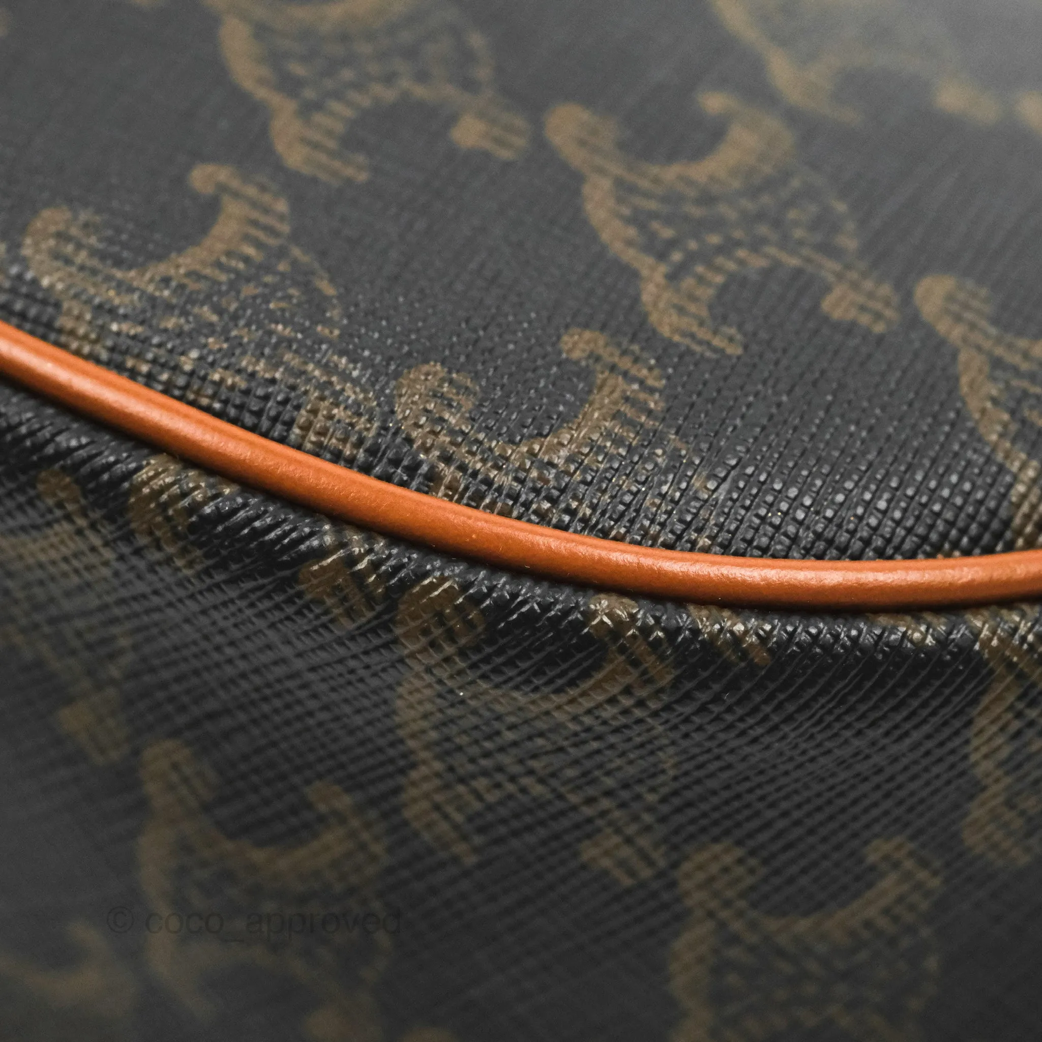 Celine Ava Bag In Triomphe Canvas Calfskin Tan