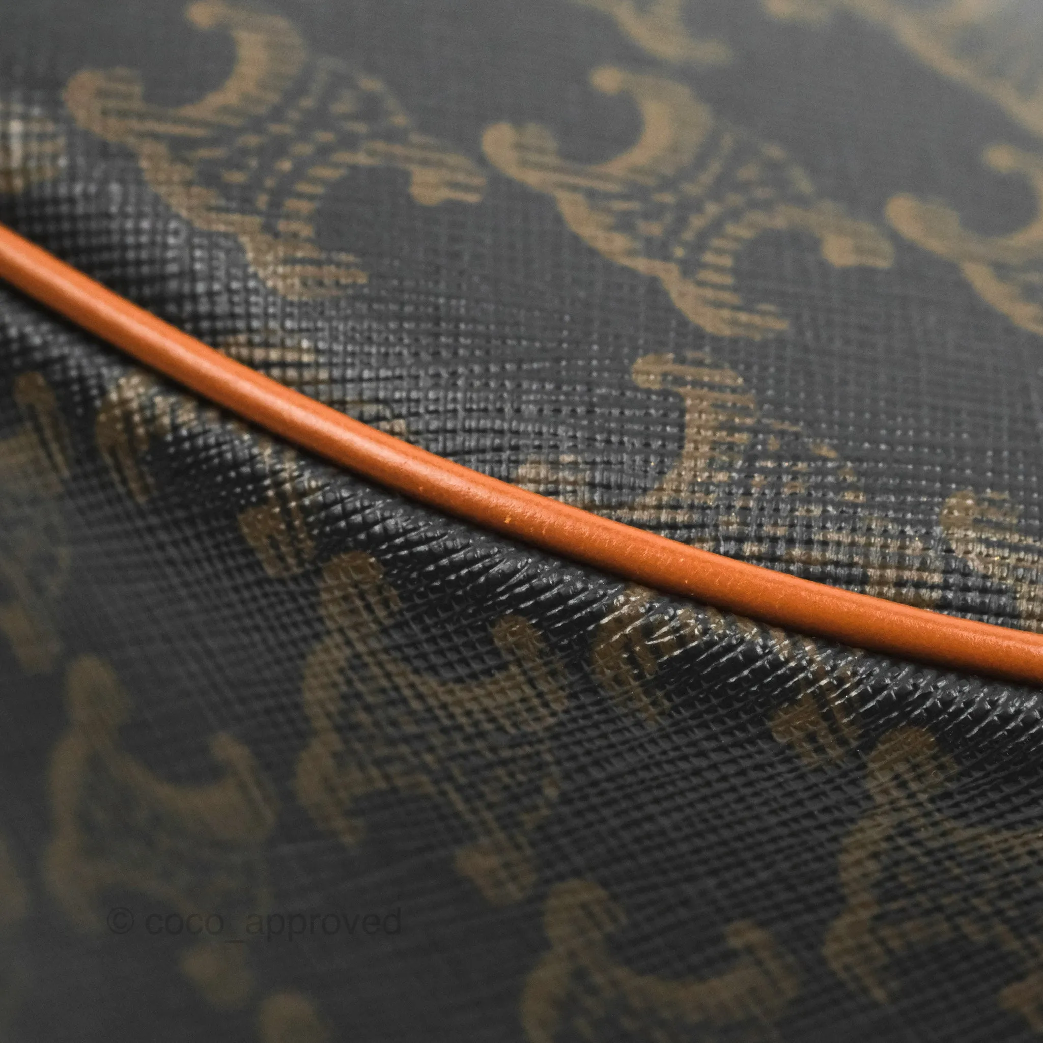 Celine Ava Bag In Triomphe Canvas Calfskin Tan