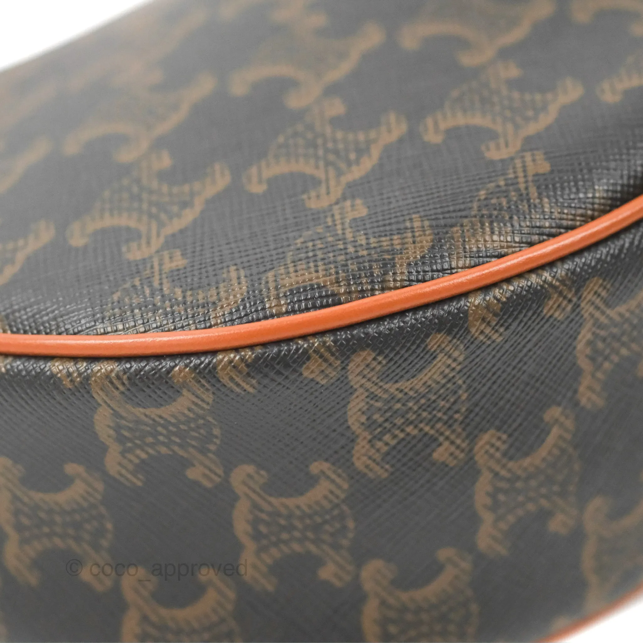 Celine Ava Bag In Triomphe Canvas Calfskin Tan
