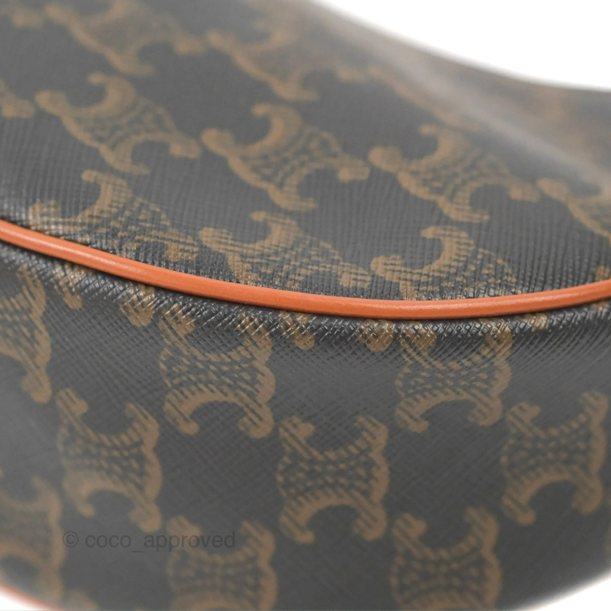 Celine Ava Bag In Triomphe Canvas Calfskin Tan