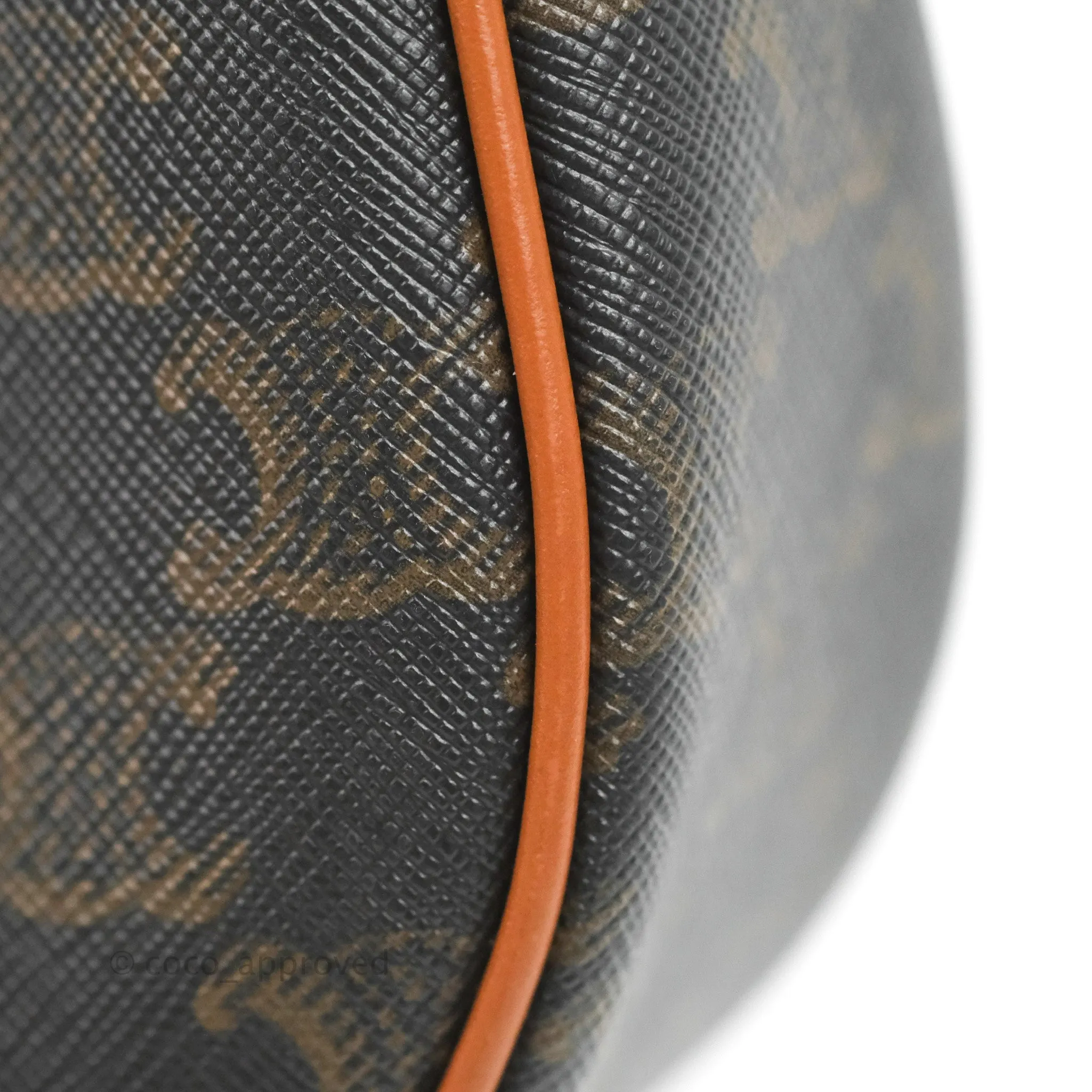 Celine Ava Bag In Triomphe Canvas Calfskin Tan