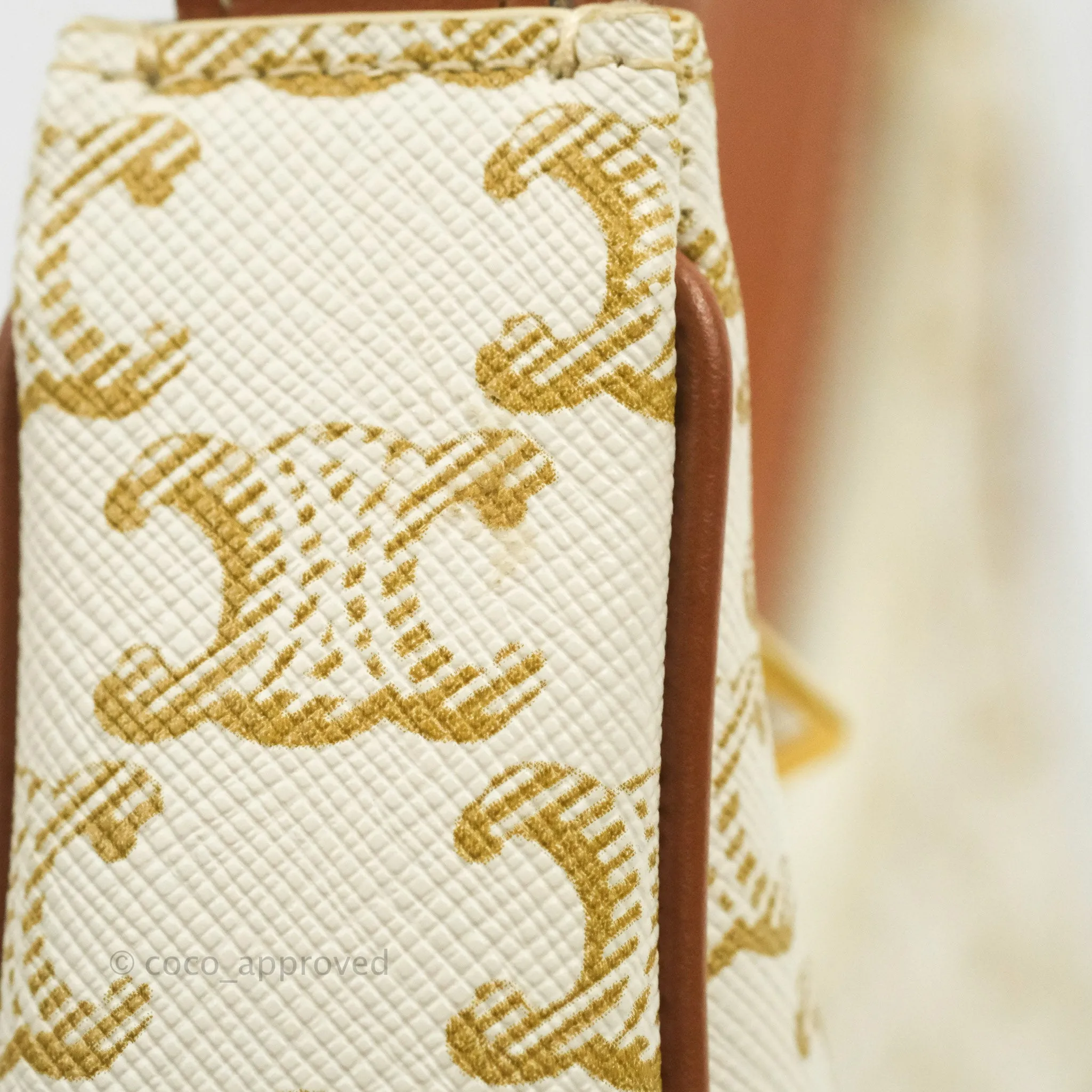 Celine Ava Bag In Triomphe Canvas Calfskin White