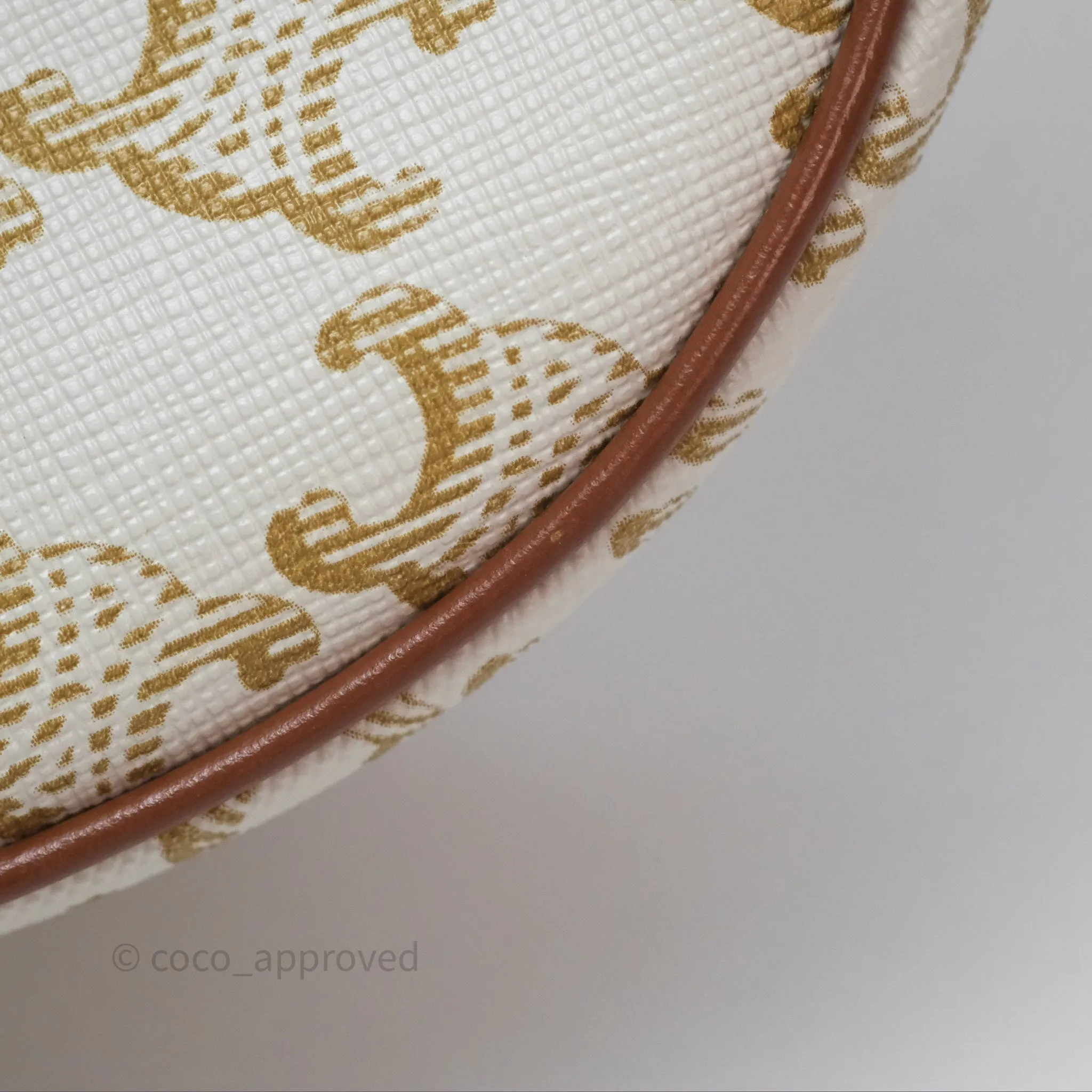Celine Ava Bag In Triomphe Canvas Calfskin White