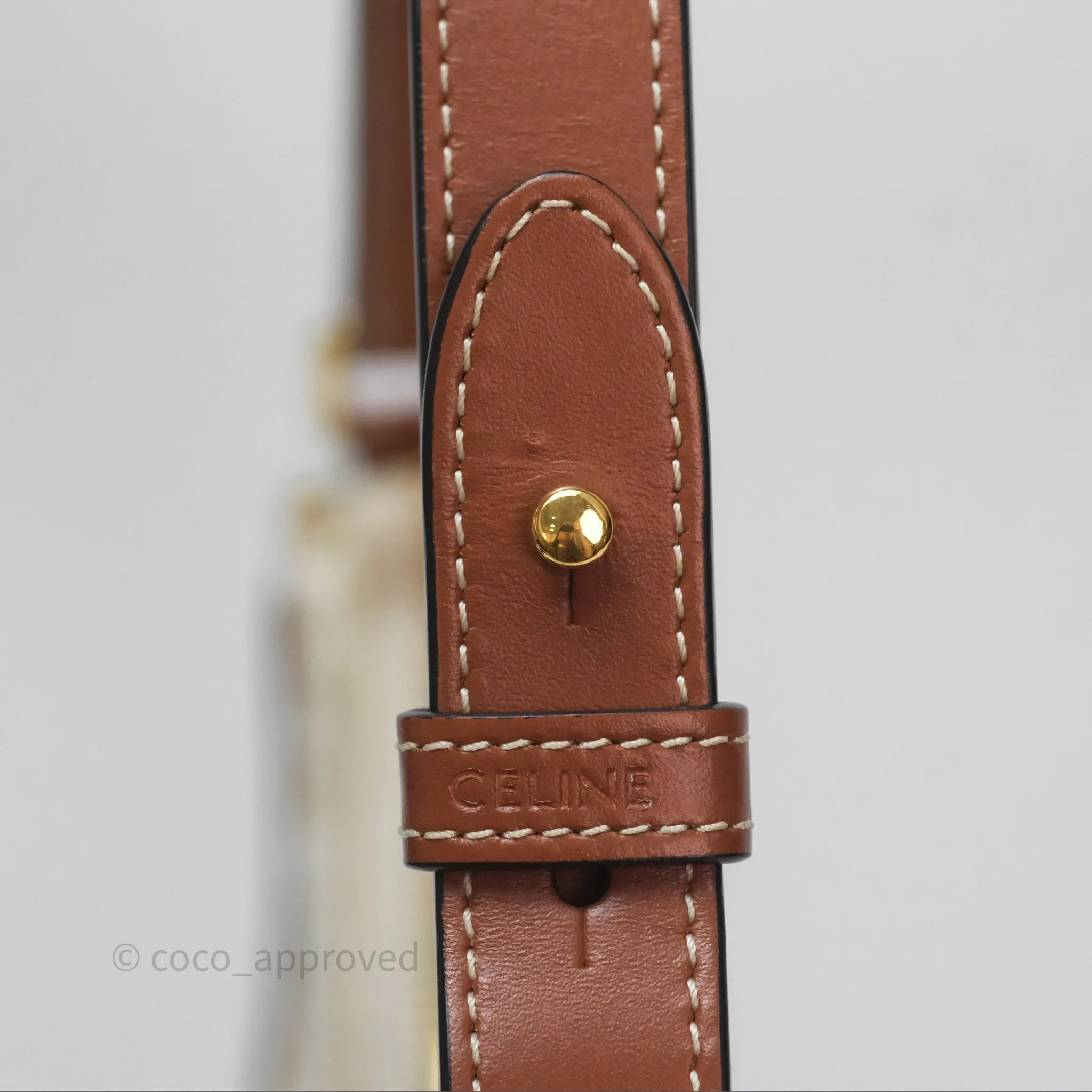 Celine Ava Bag In Triomphe Canvas Calfskin White