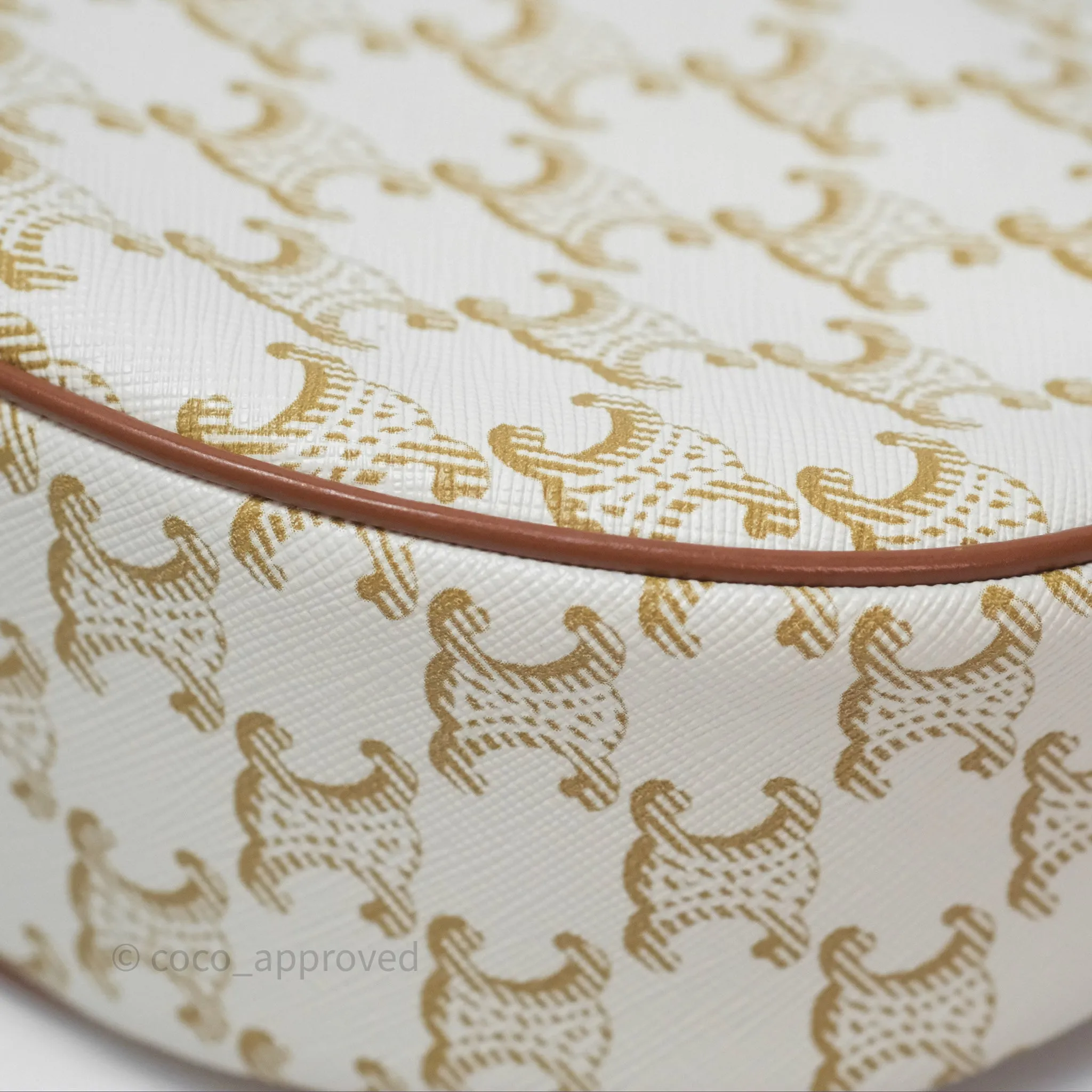 Celine Ava Bag In Triomphe Canvas Calfskin White