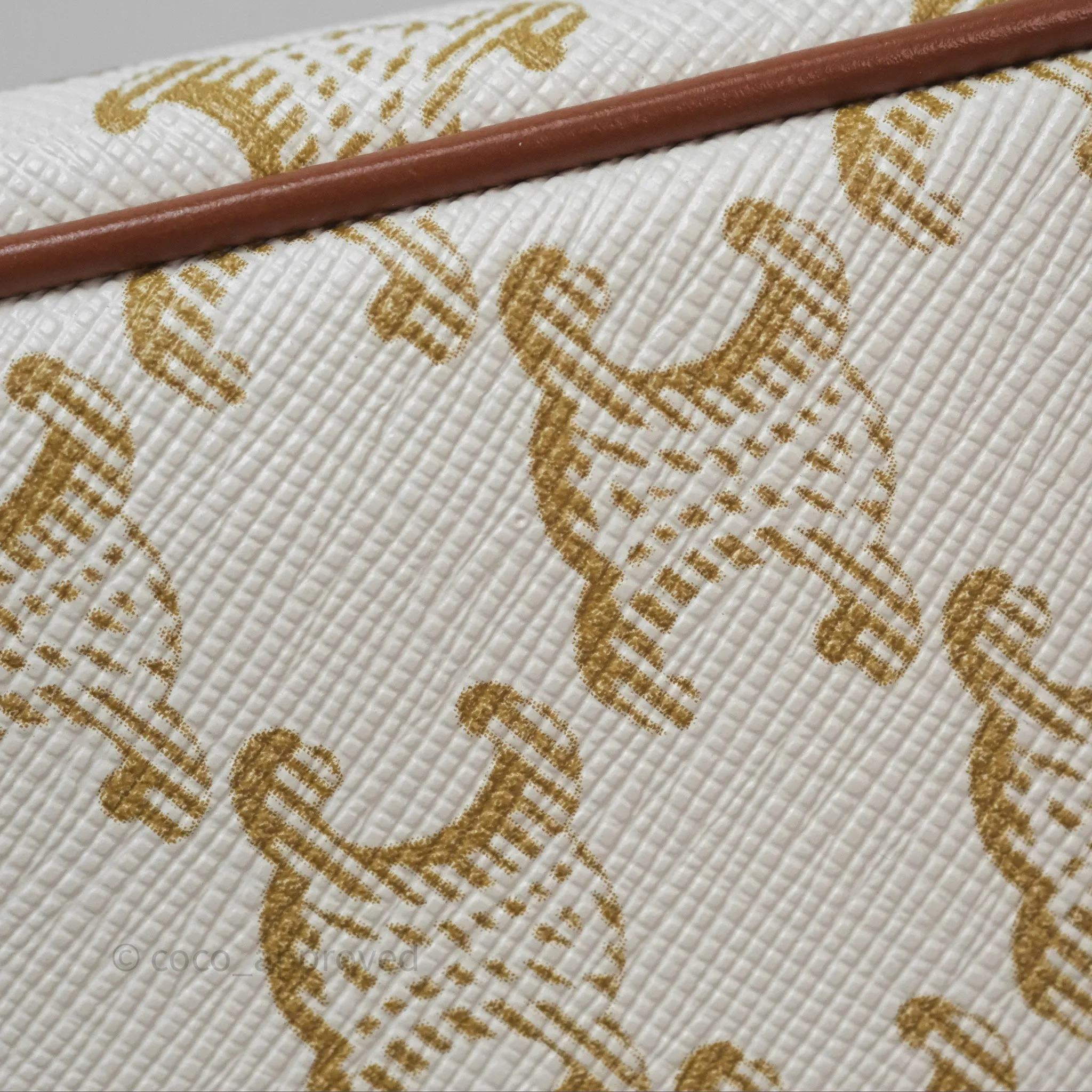 Celine Ava Bag In Triomphe Canvas Calfskin White