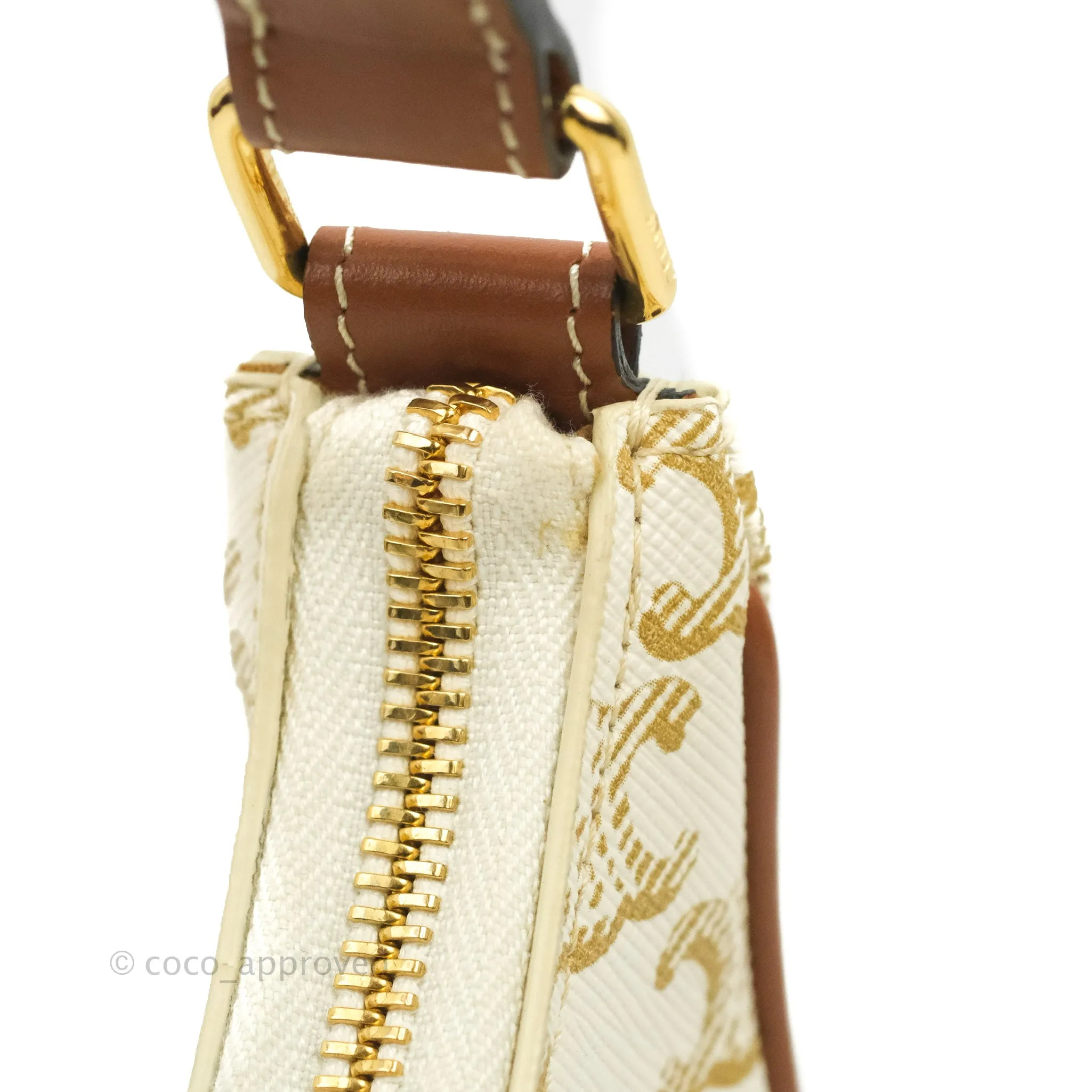 Celine Ava Bag In Triomphe Canvas Calfskin White