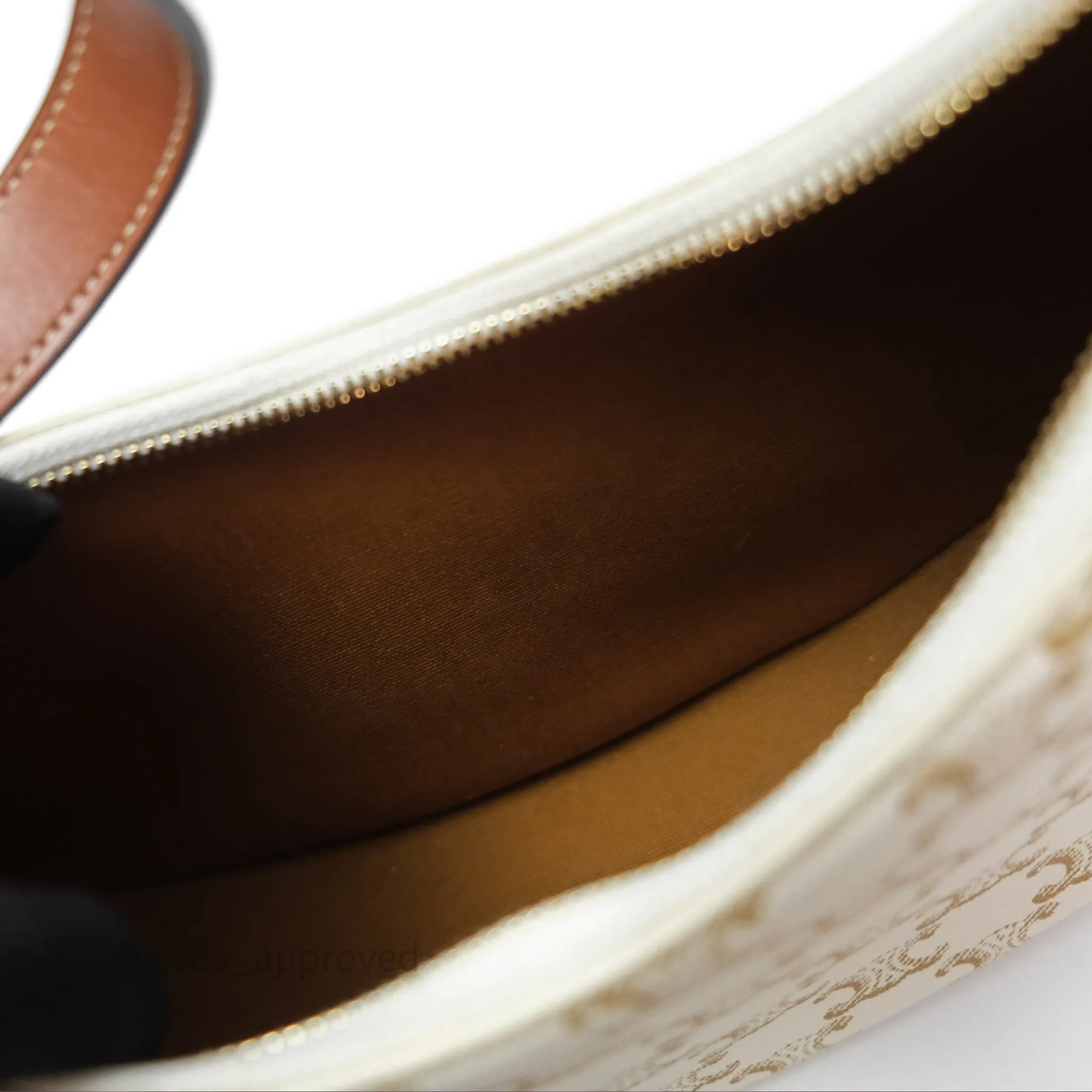 Celine Ava Bag In Triomphe Canvas Calfskin White