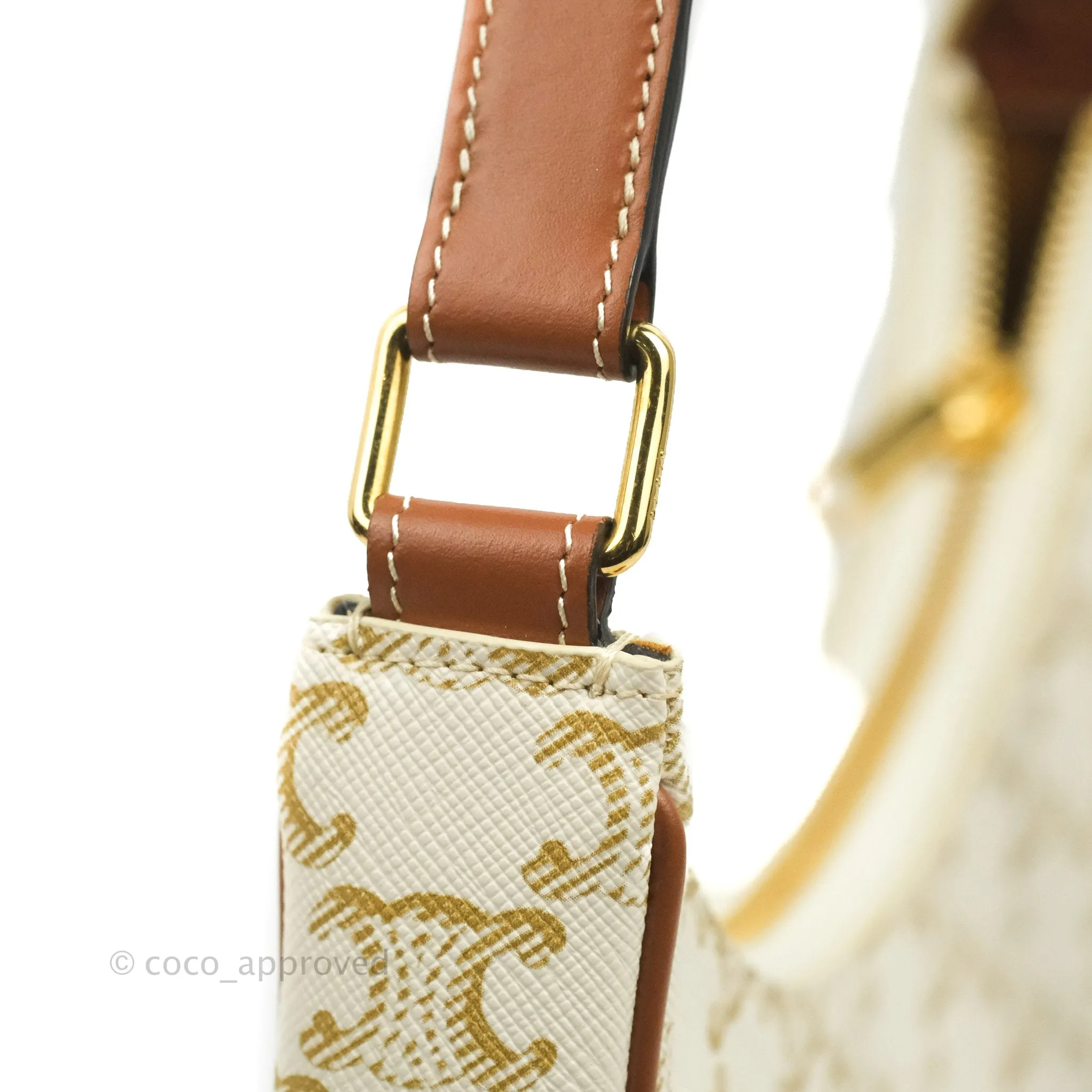 Celine Ava Bag In Triomphe Canvas Calfskin White