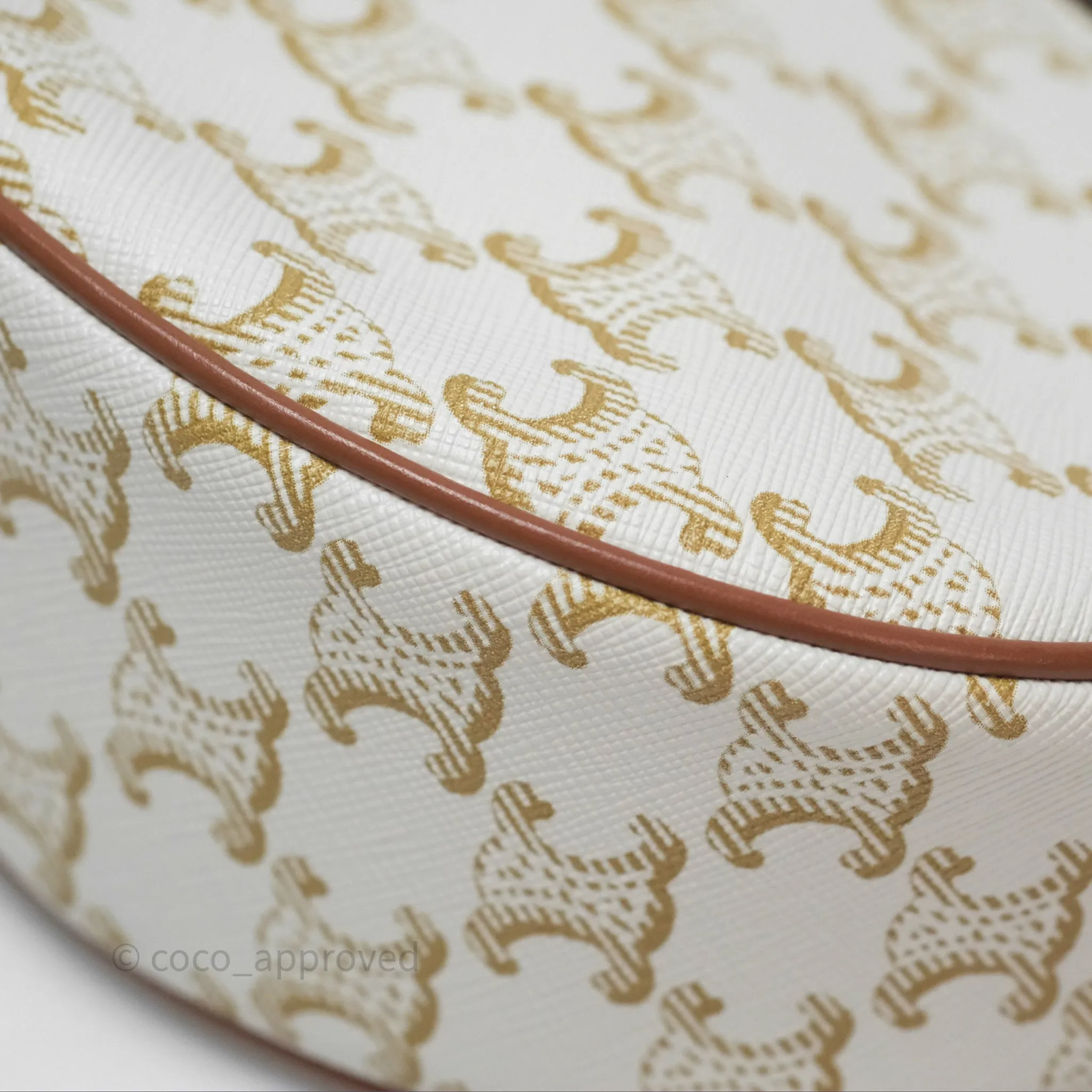 Celine Ava Bag In Triomphe Canvas Calfskin White