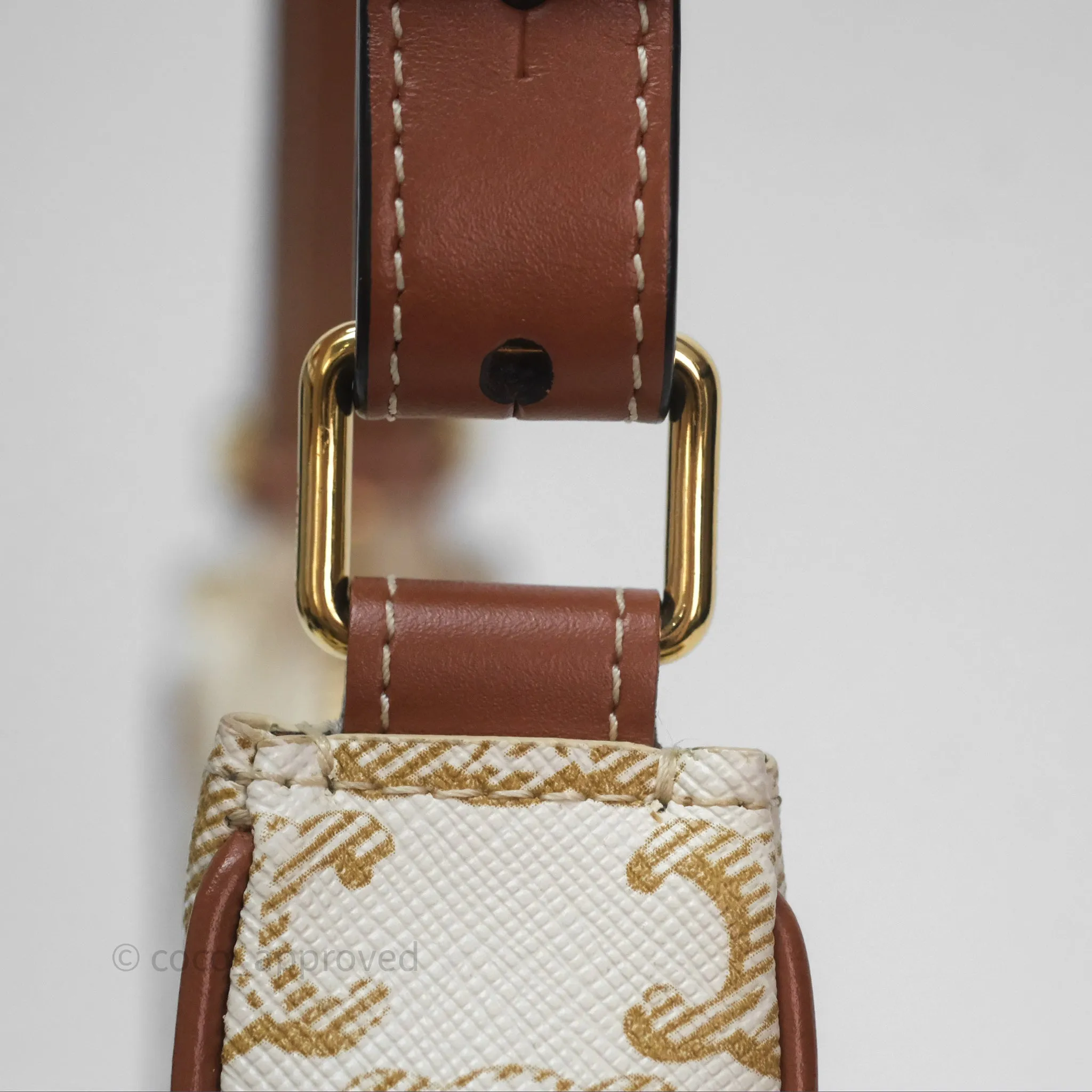 Celine Ava Bag In Triomphe Canvas Calfskin White