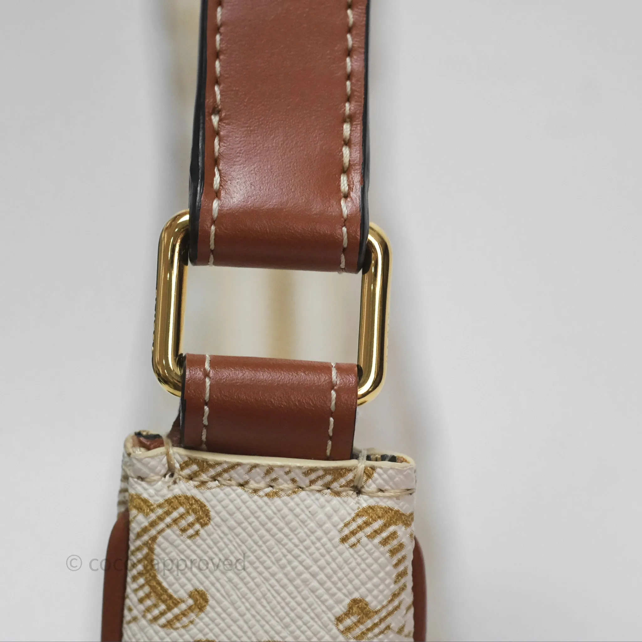 Celine Ava Bag In Triomphe Canvas Calfskin White