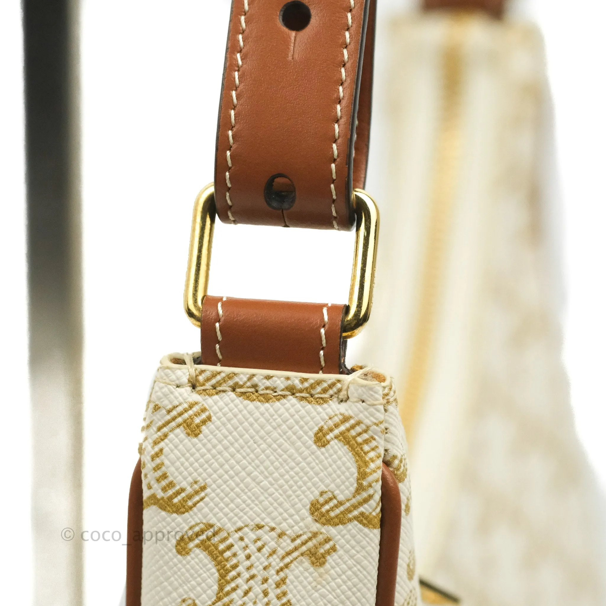Celine Ava Bag In Triomphe Canvas Calfskin White
