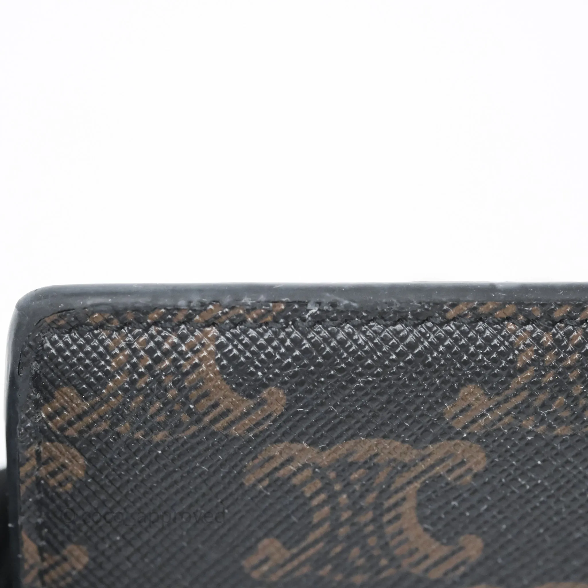 Celine Card Holder with Flap Triomphe Canvas Tan