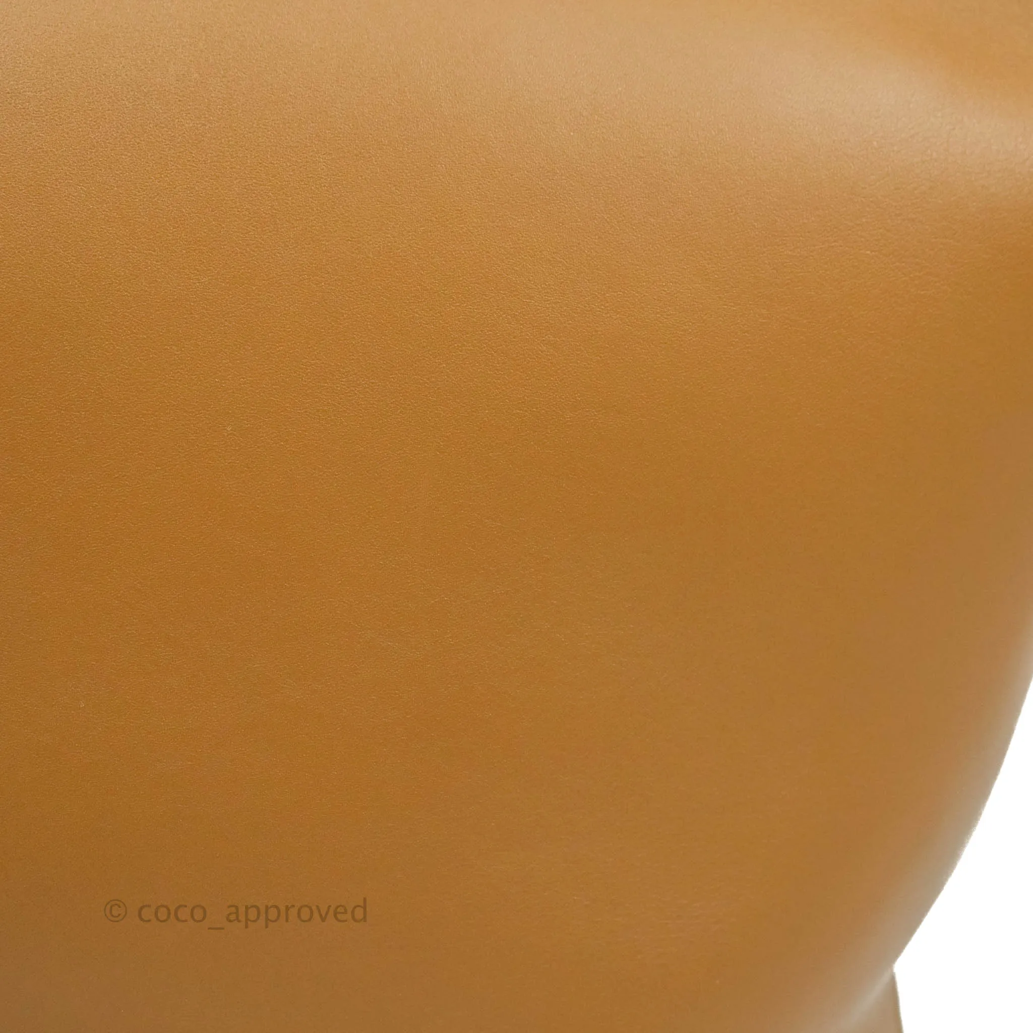 Celine Clasp Bucket Bag Brown