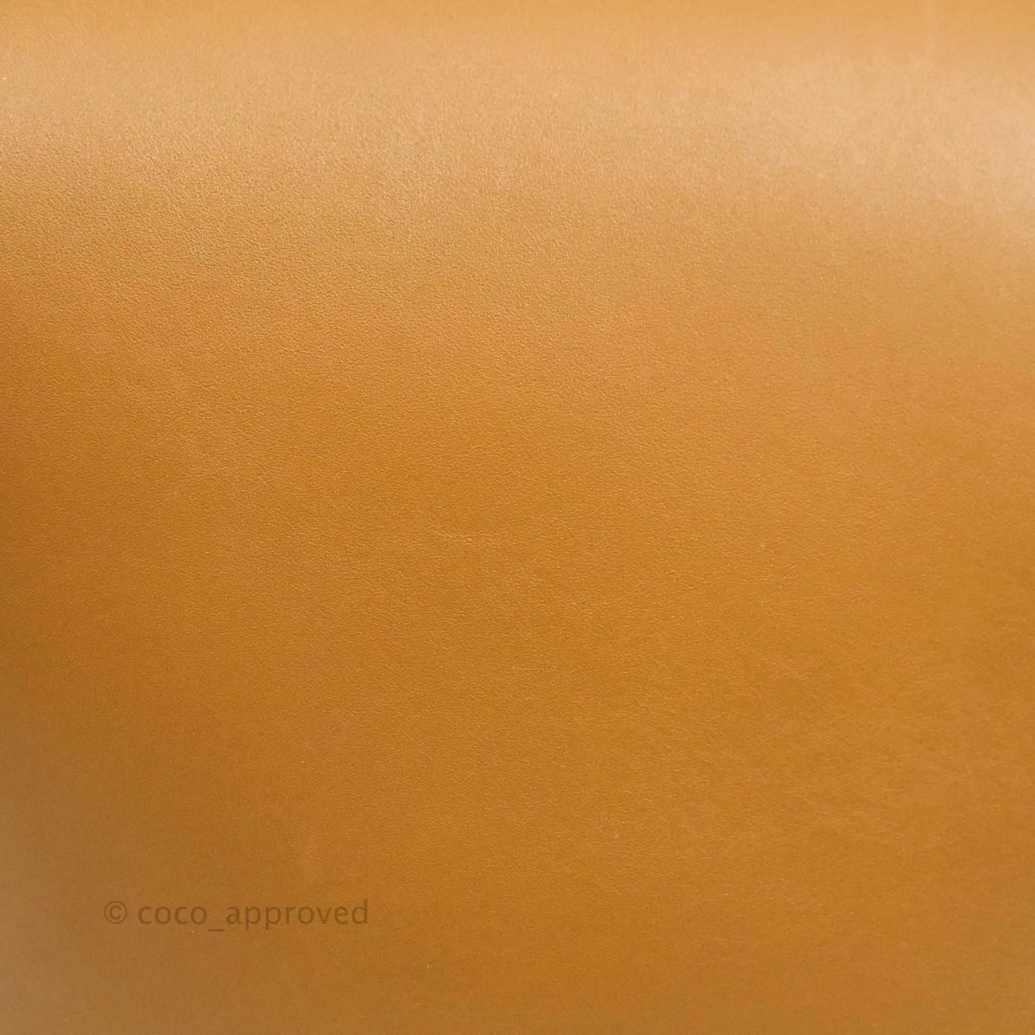 Celine Clasp Bucket Bag Brown