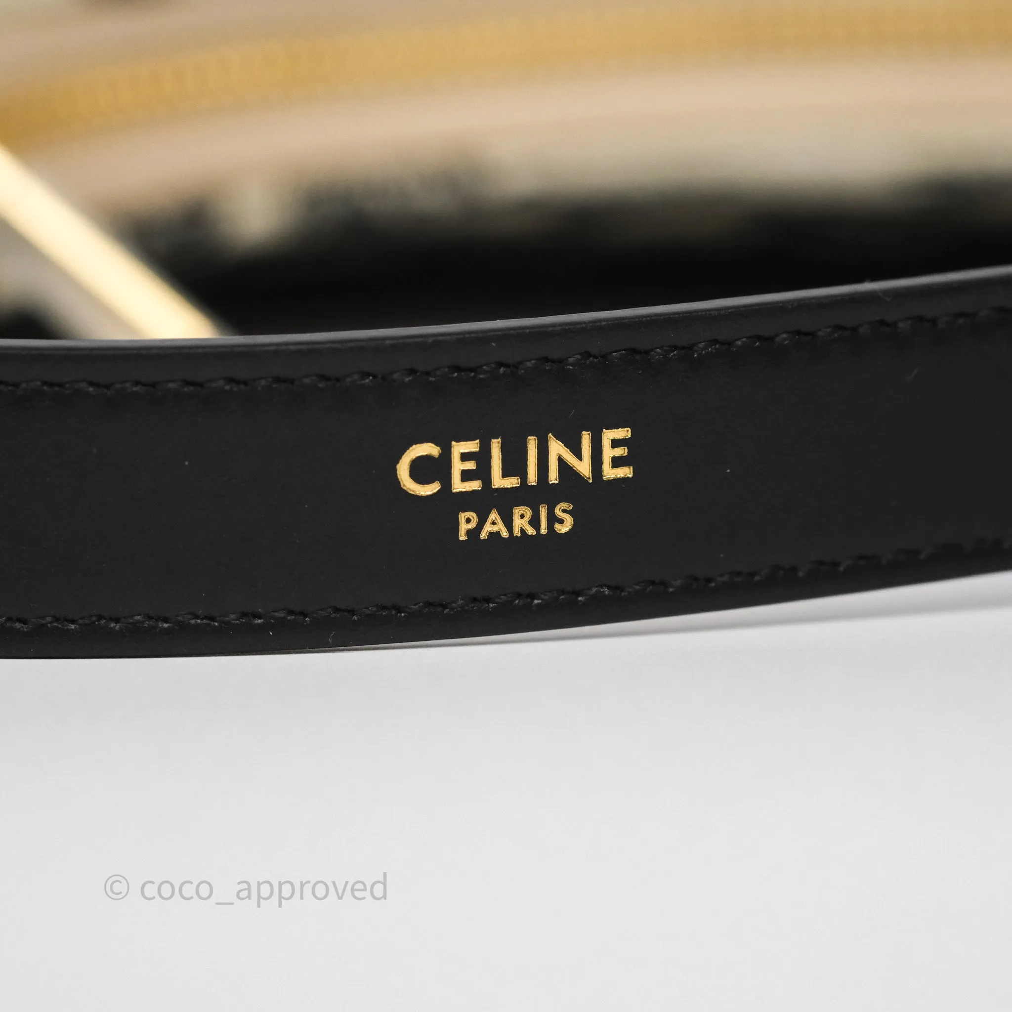 Celine Medium Ava Bag Triomphe Embroidered Black Natural