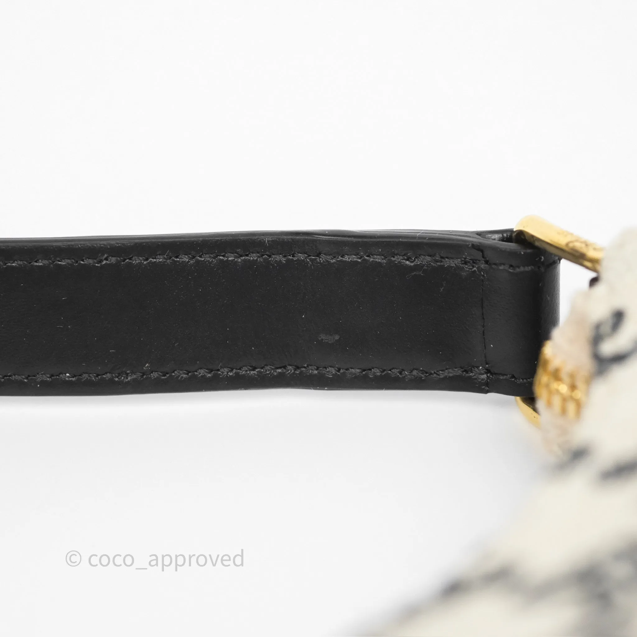 Celine Medium Ava Bag Triomphe Embroidered Black Natural