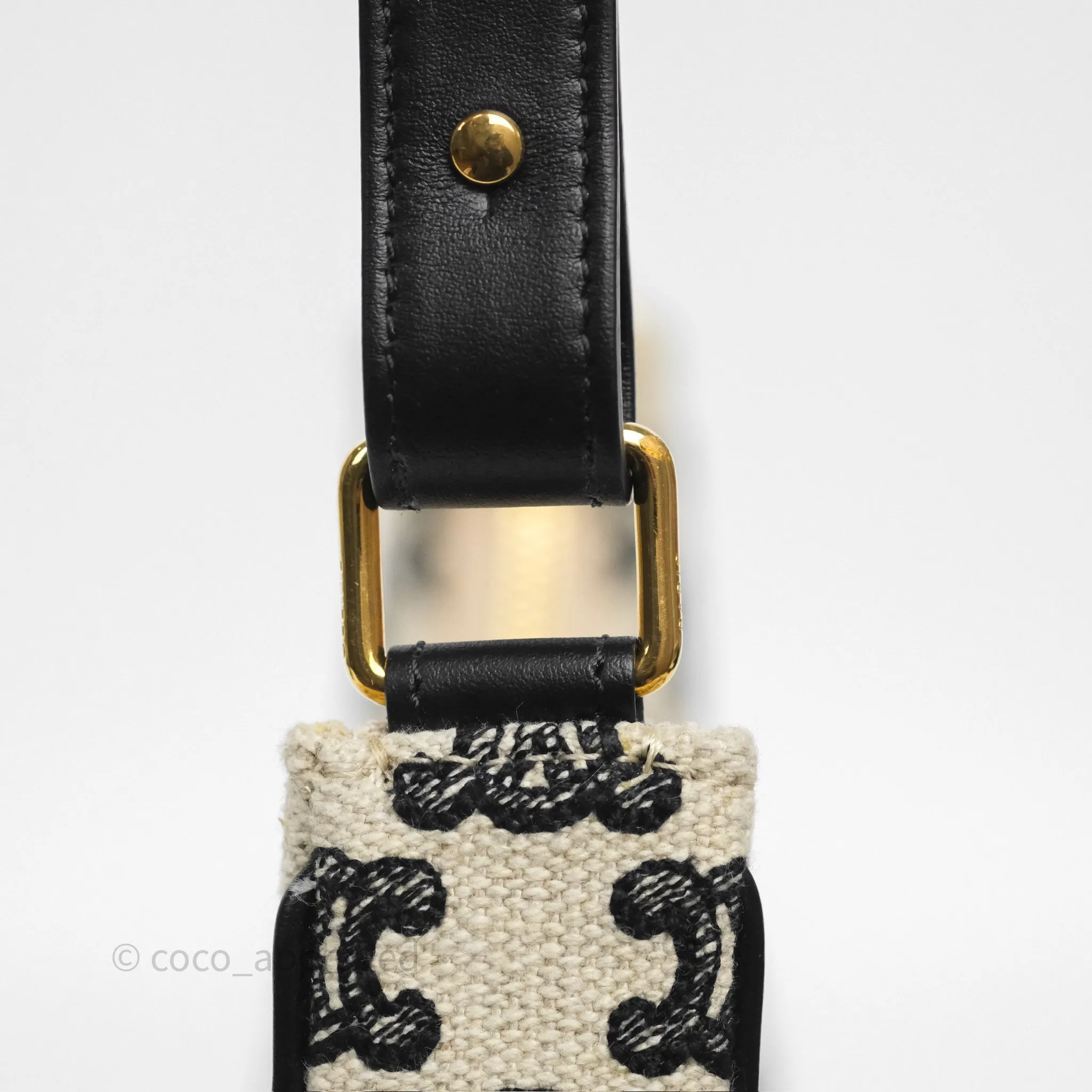 Celine Medium Ava Bag Triomphe Embroidered Black Natural