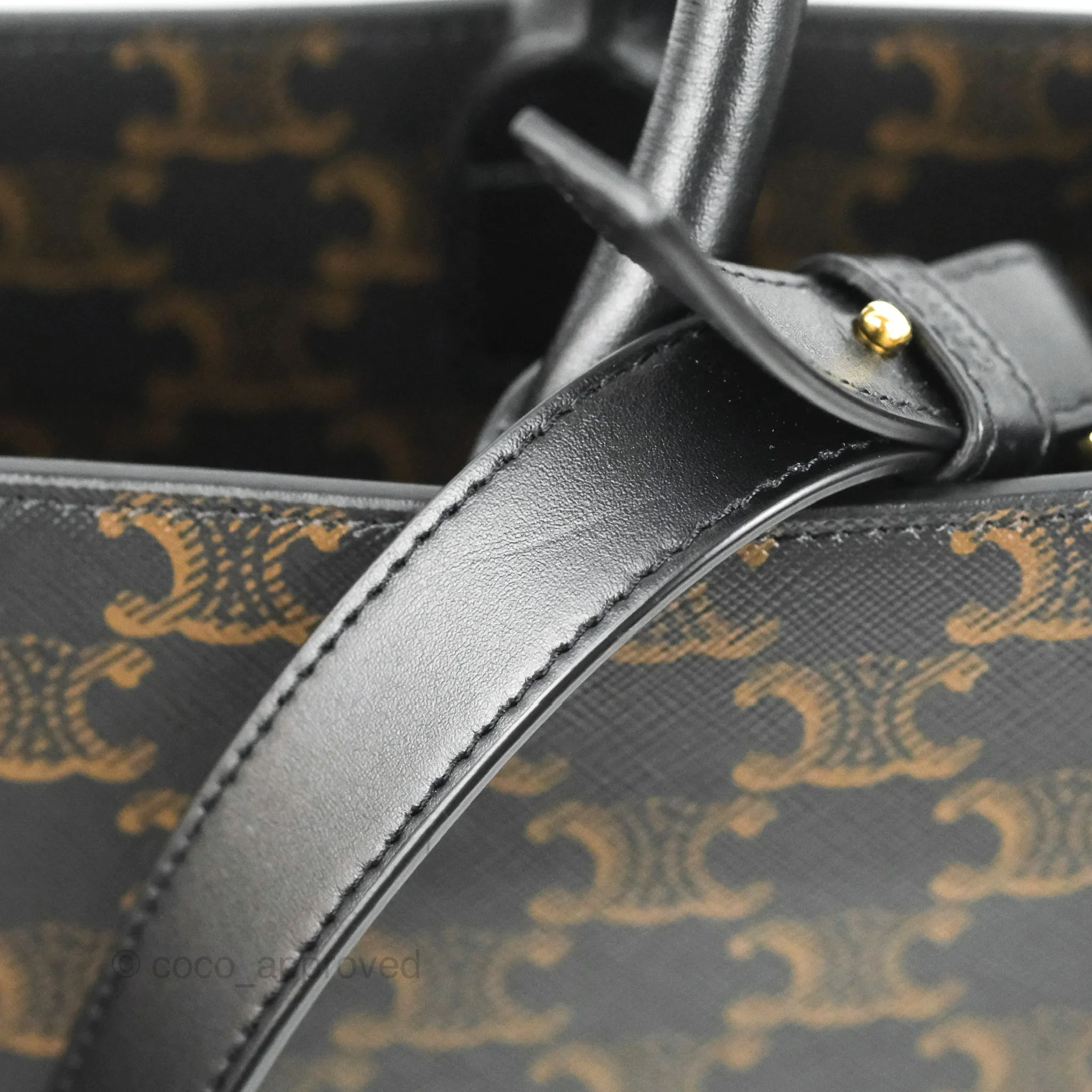 Celine Medium Cabas Vertical Tote Triomphe